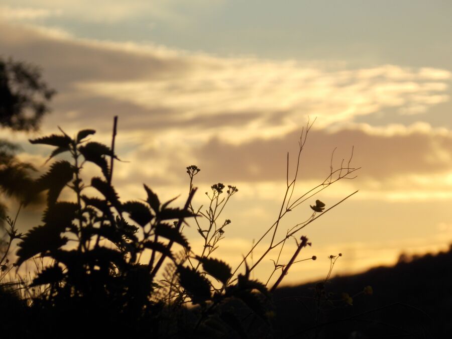 Nikon Coolpix L810 sample photo - jy4mfVWHv5 - ExploreCams