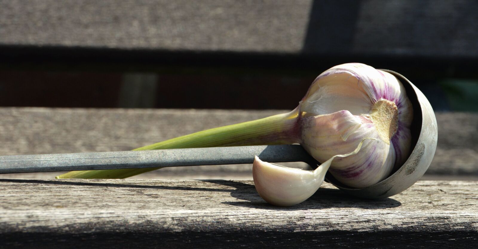 Nikon D5200 sample photo. Ladle, garlic, food, leaves photography