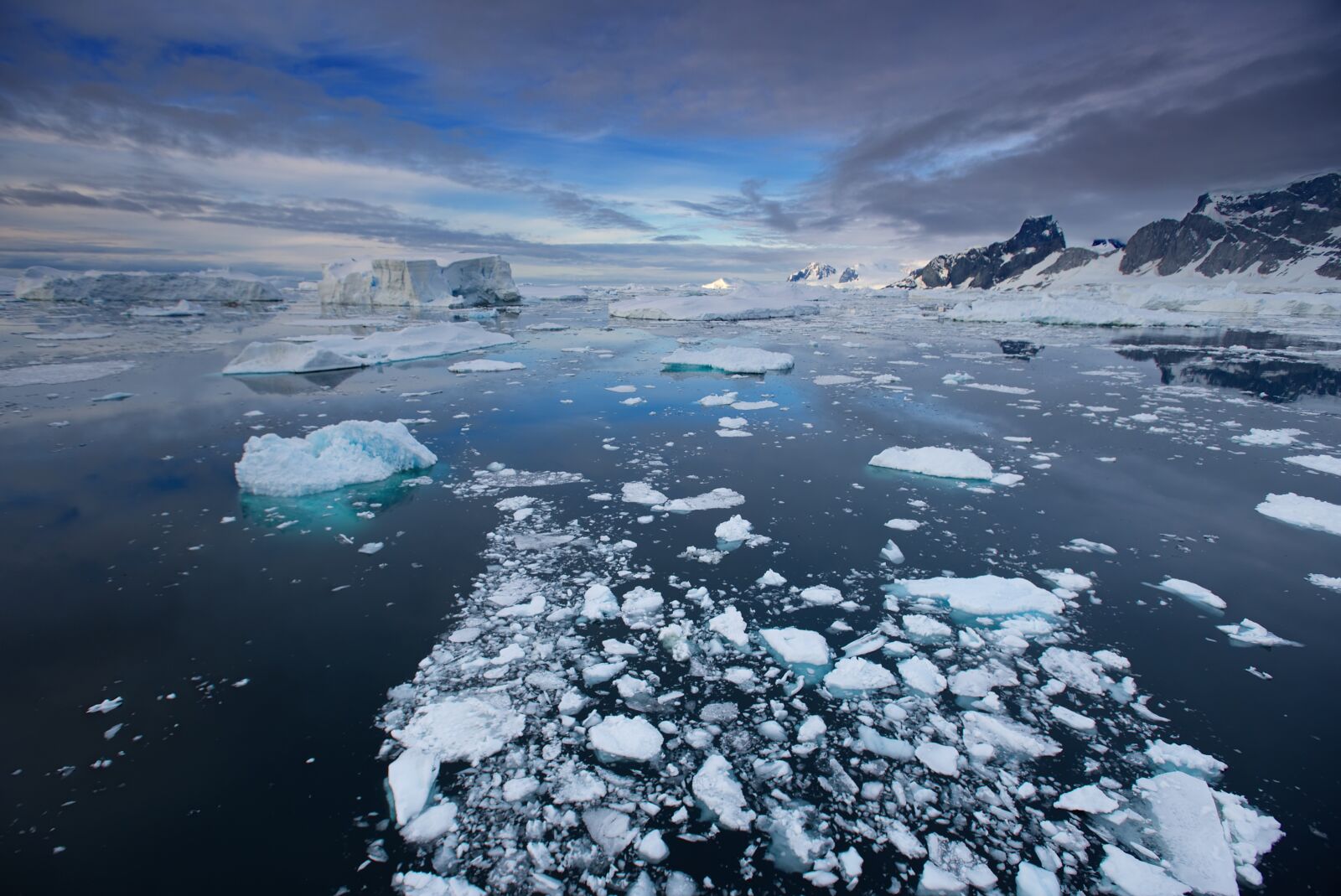 Nikon D750 sample photo. Antarctica, ice, ice berg photography