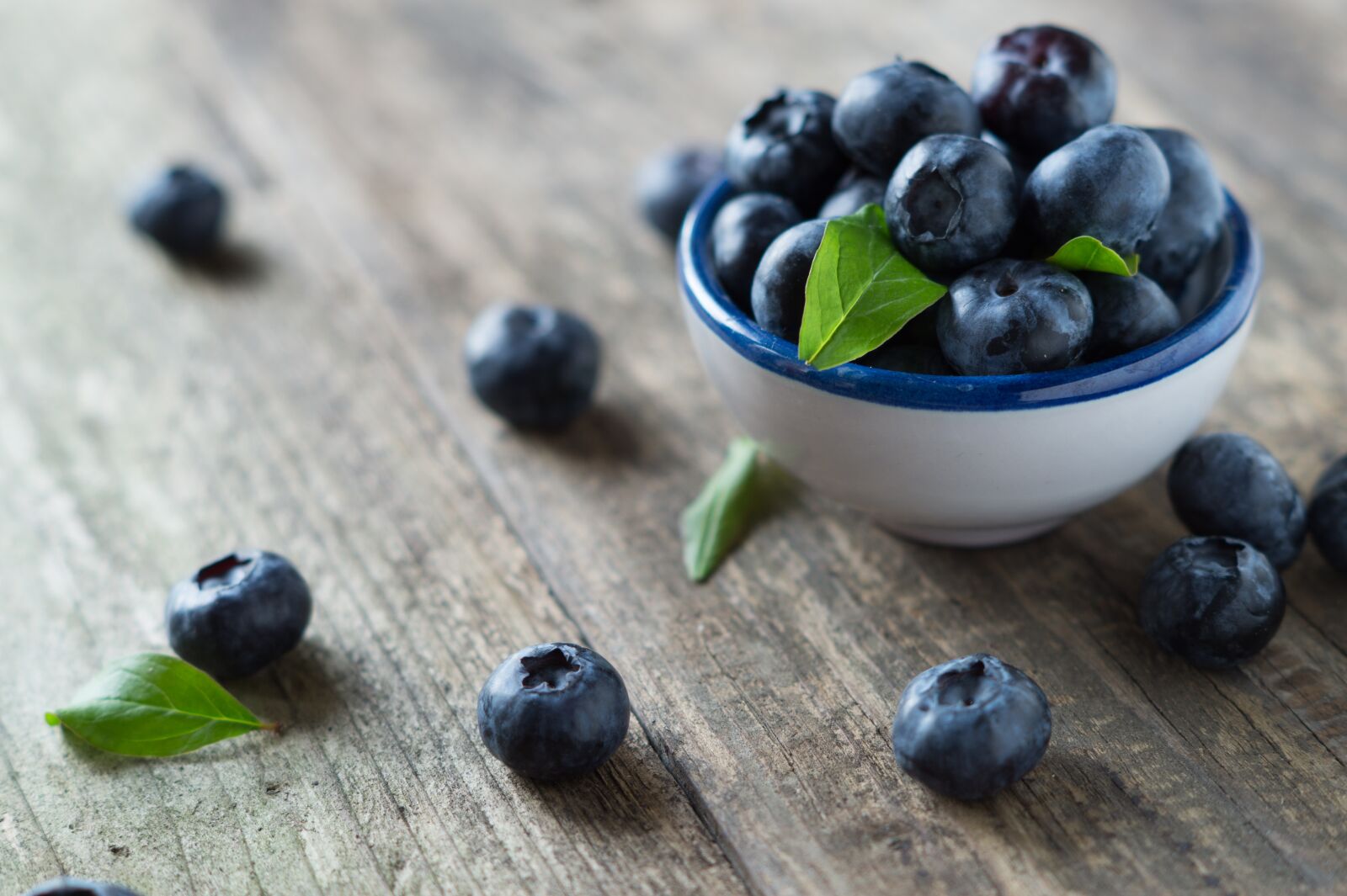 Sony SLT-A58 + Sony DT 50mm F1.8 SAM sample photo. Blueberries, health, vitamins photography