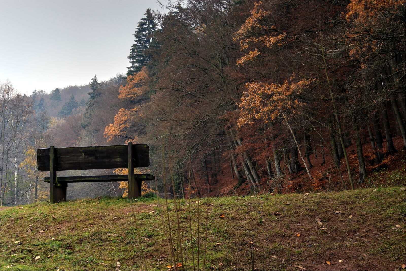 Canon EOS 550D (EOS Rebel T2i / EOS Kiss X4) sample photo. Bank, rest, idyllic photography