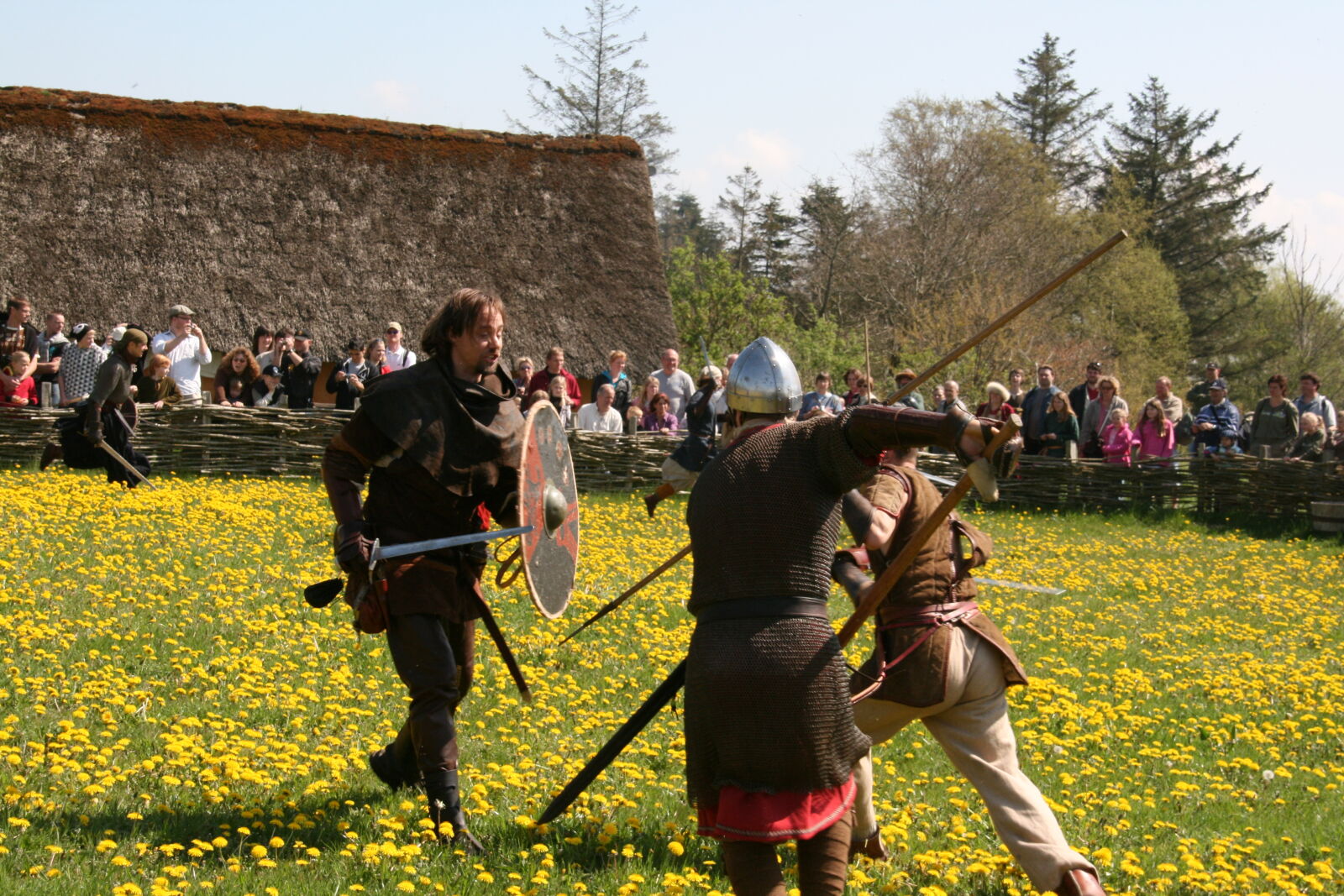 Sigma 18-200mm f/3.5-6.3 DC OS sample photo. Vikings photography