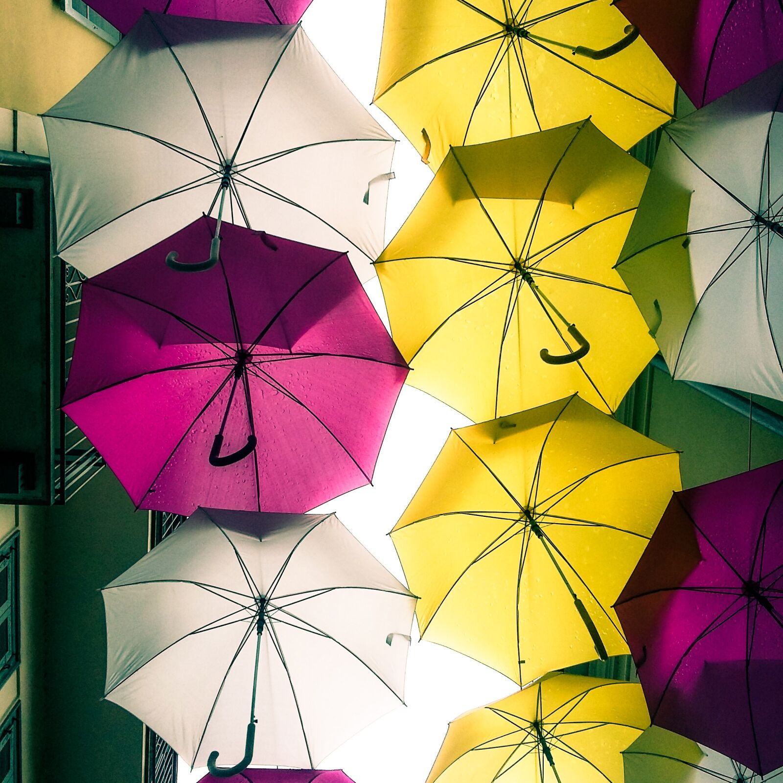 Samsung Galaxy A3 sample photo. Umbrella, umbrellas, rain photography