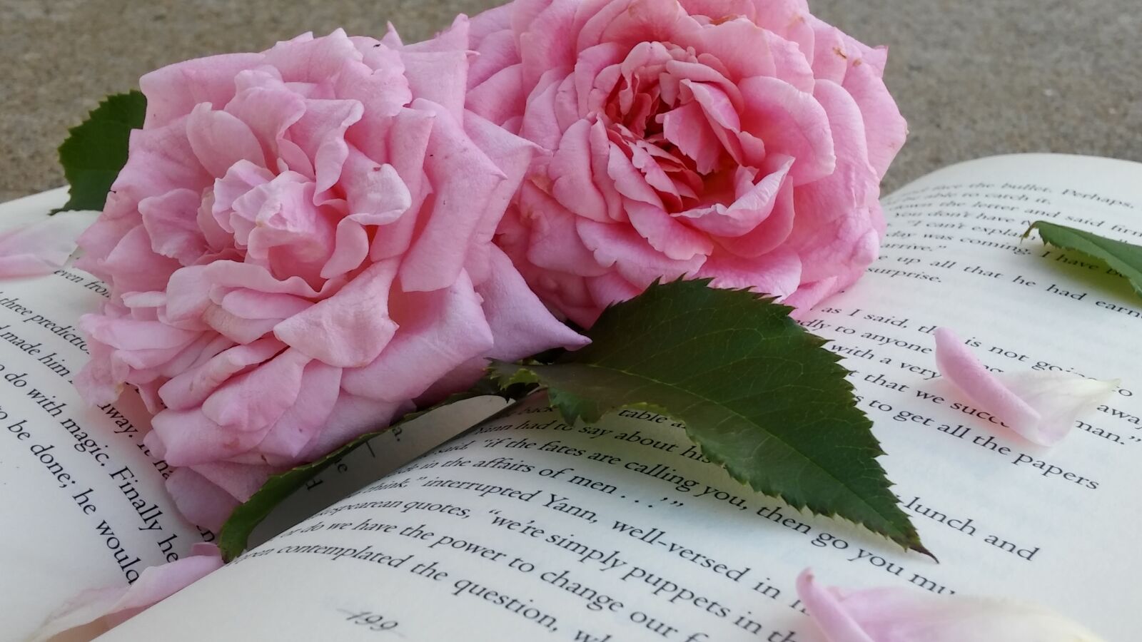 LG G STYLO sample photo. Pink flowers, roses, book photography