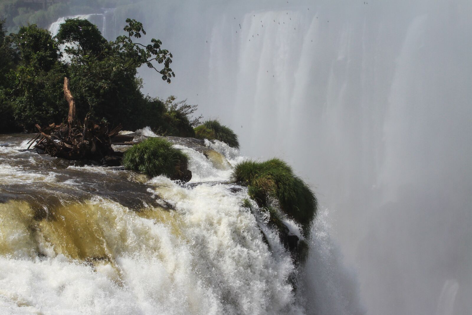 Canon EOS 7D + Canon EF 100-400mm F4.5-5.6L IS USM sample photo. Foz, iguacu, iguazu photography