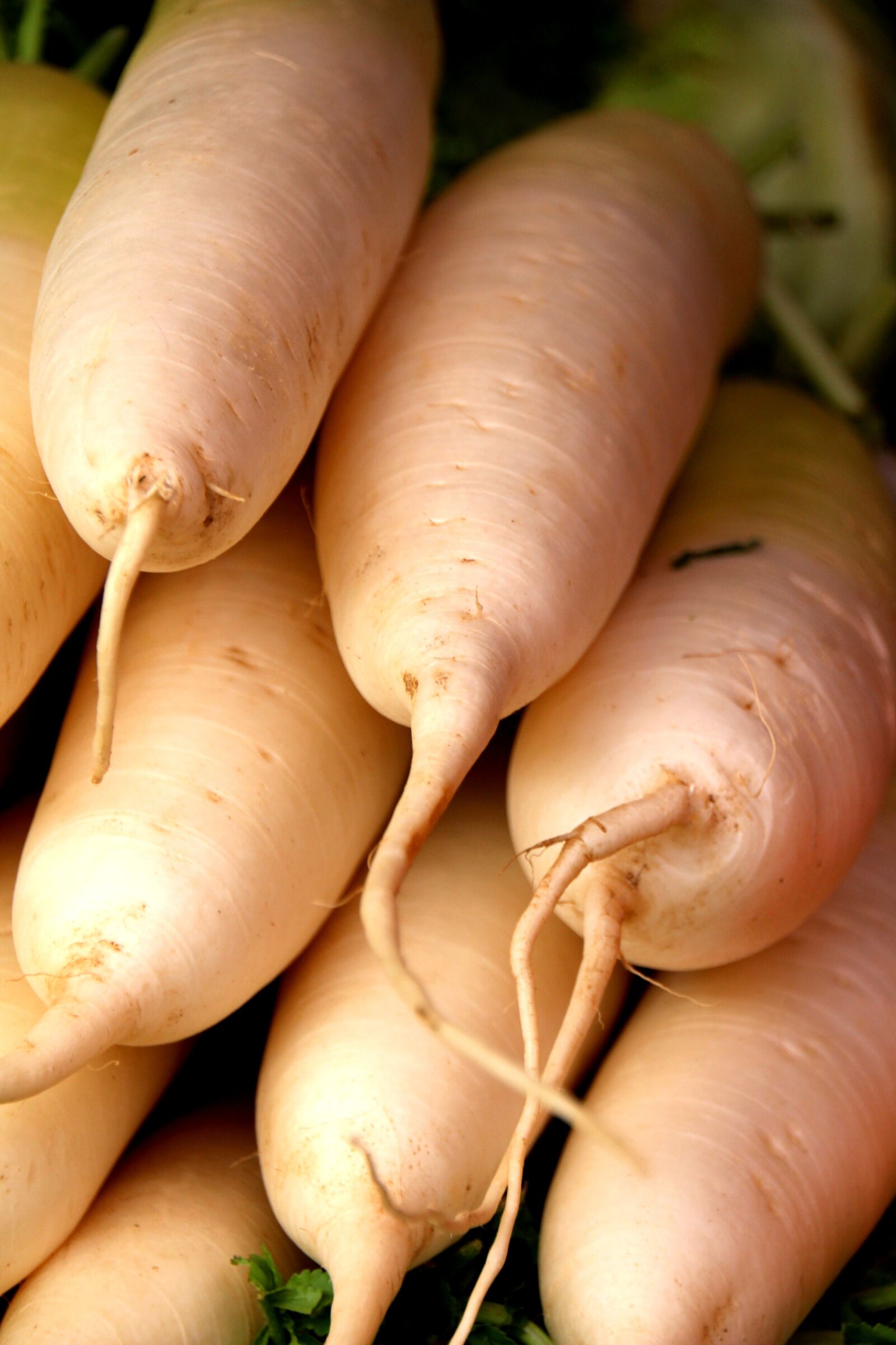 Canon EOS 700D (EOS Rebel T5i / EOS Kiss X7i) sample photo. White carrots, vegetable, greens photography