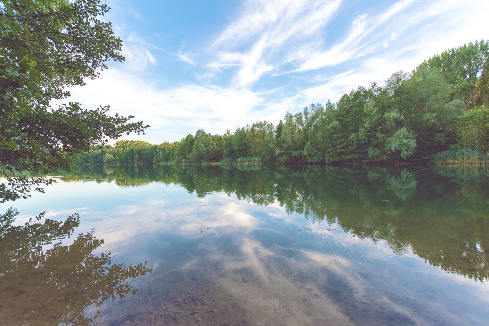 Nikon D7200 sample photo. Lake, forest, water photography