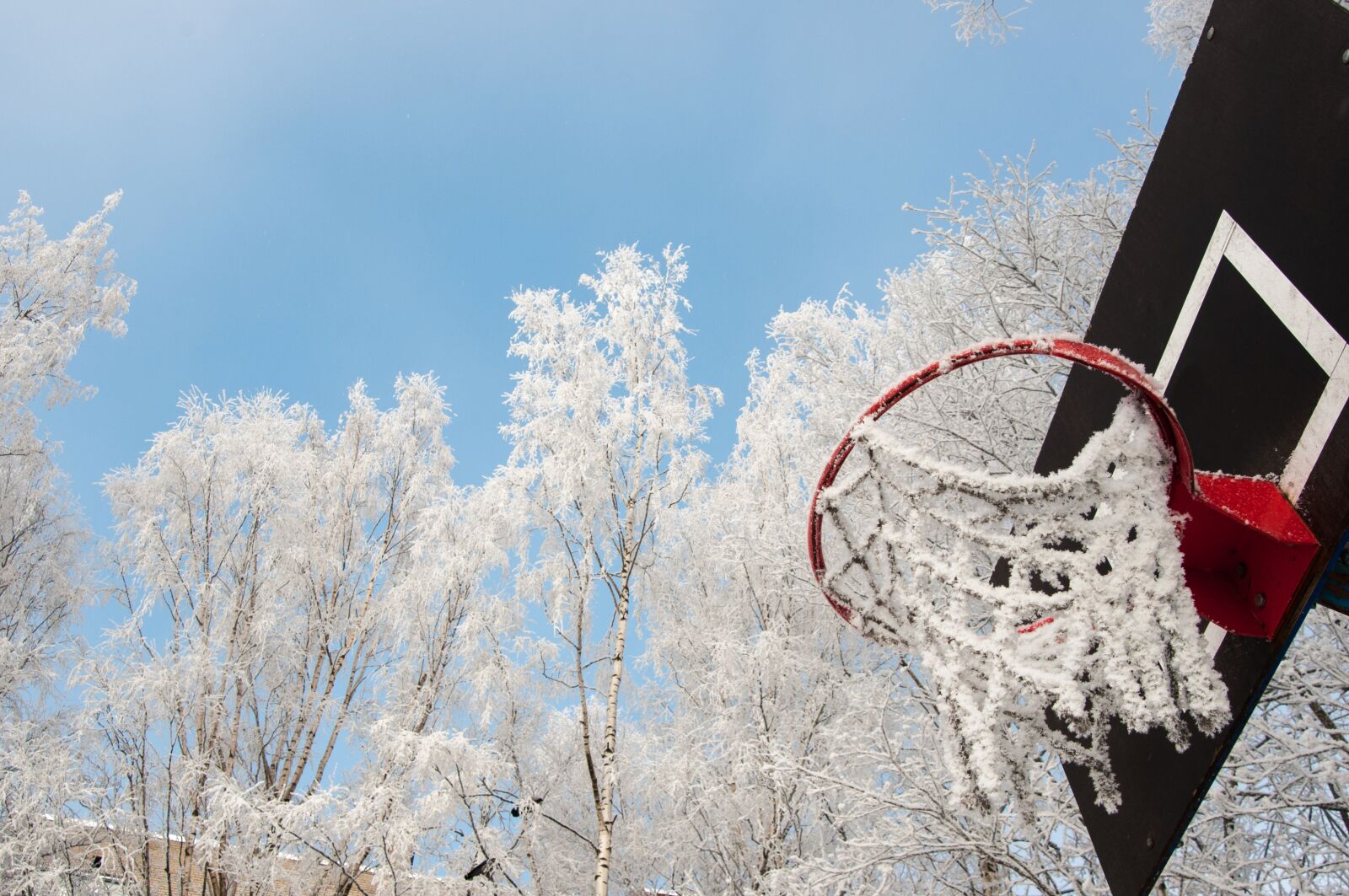 Nikon D300S sample photo. Winter, snow, coldly photography