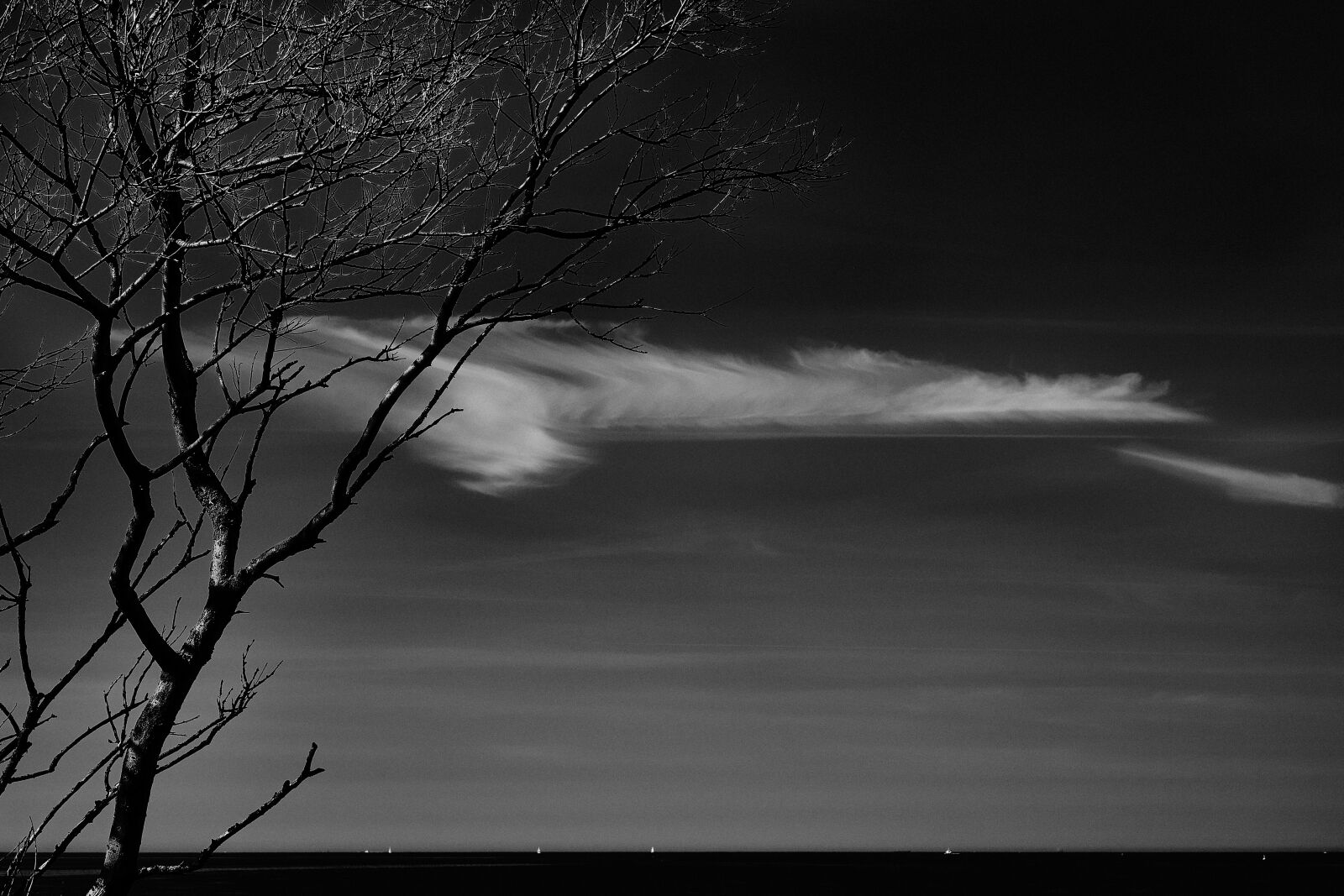 Fujifilm XF 56mm F1.2 R sample photo. Cloud, sky, tree photography