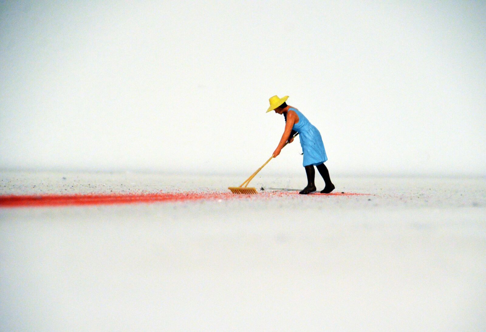 Nikon D7000 sample photo. Computing, gardener, miniature photography
