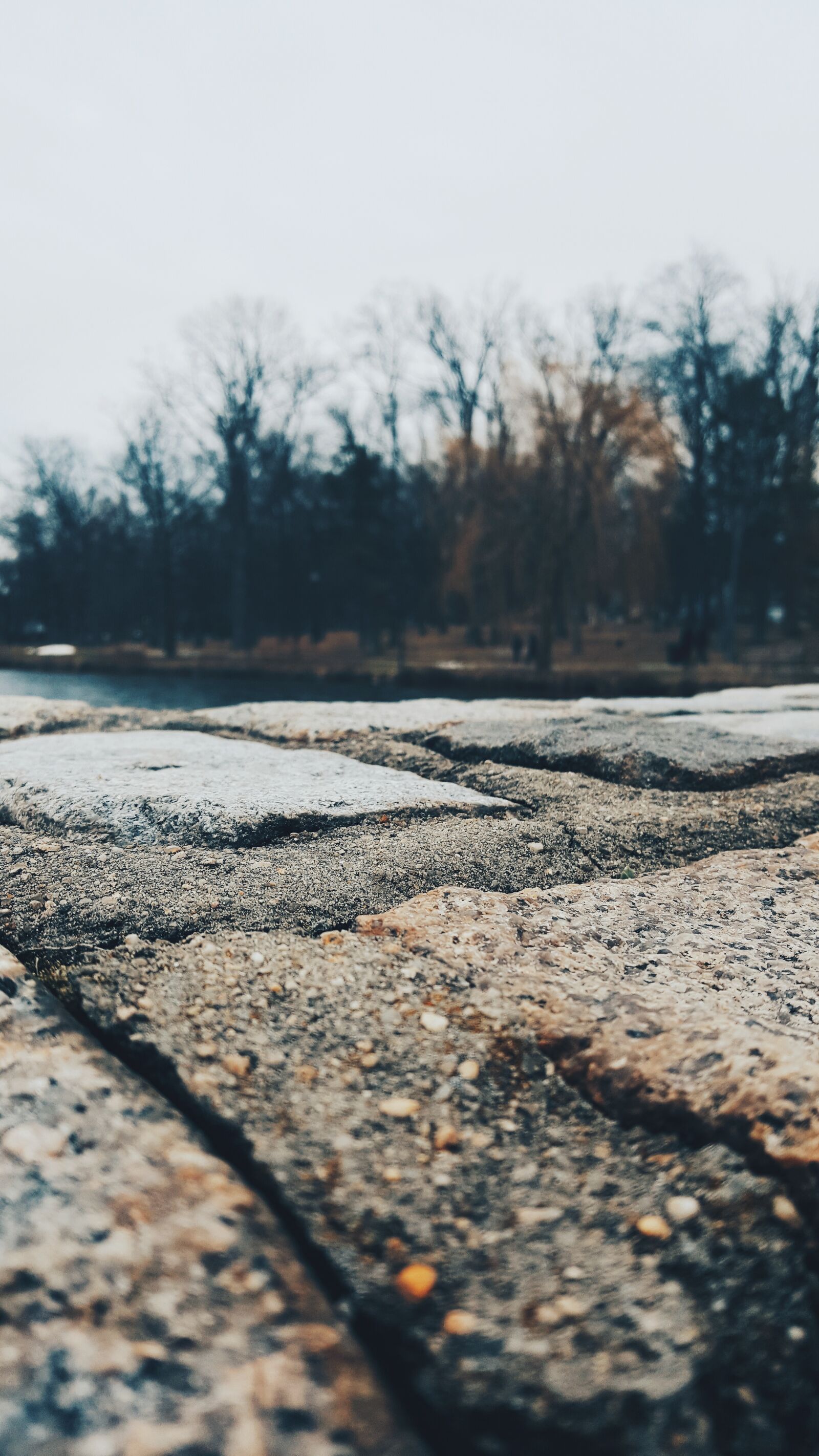 Samsung Galaxy Note5 sample photo. Angle, autumm, black, blue photography