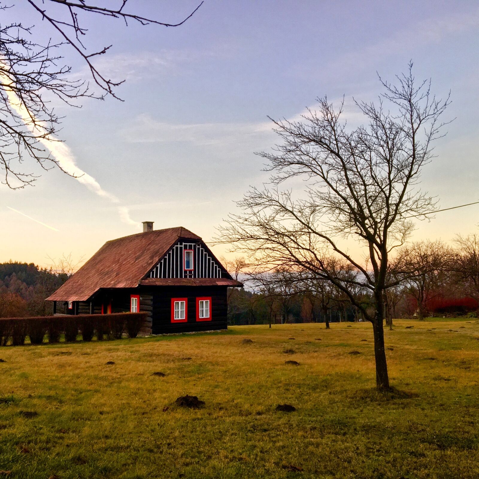 Apple iPhone 6s sample photo. House tree, grass, czech photography