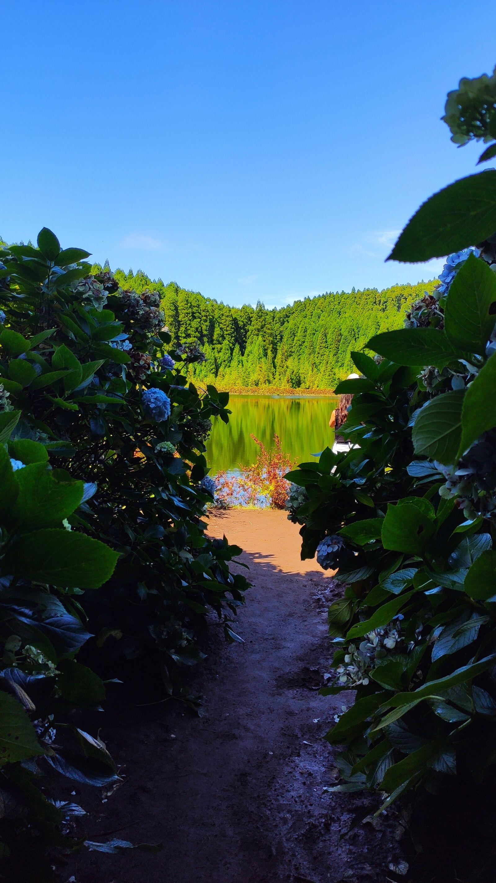 Xiaomi Mi 9T sample photo. Azores, lake abysses, water photography