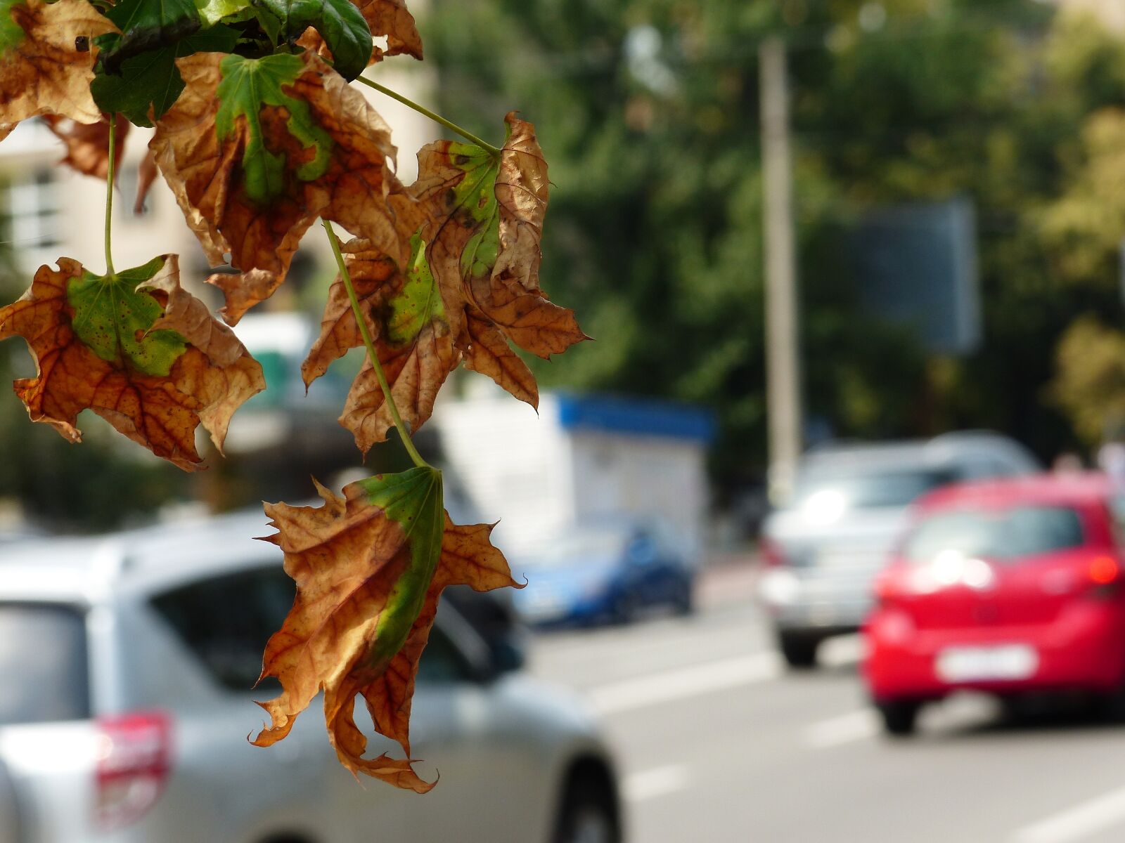 Panasonic PHOTOfunSTUDIO 8.3 PE sample photo. Air pollution, ecology, danger photography