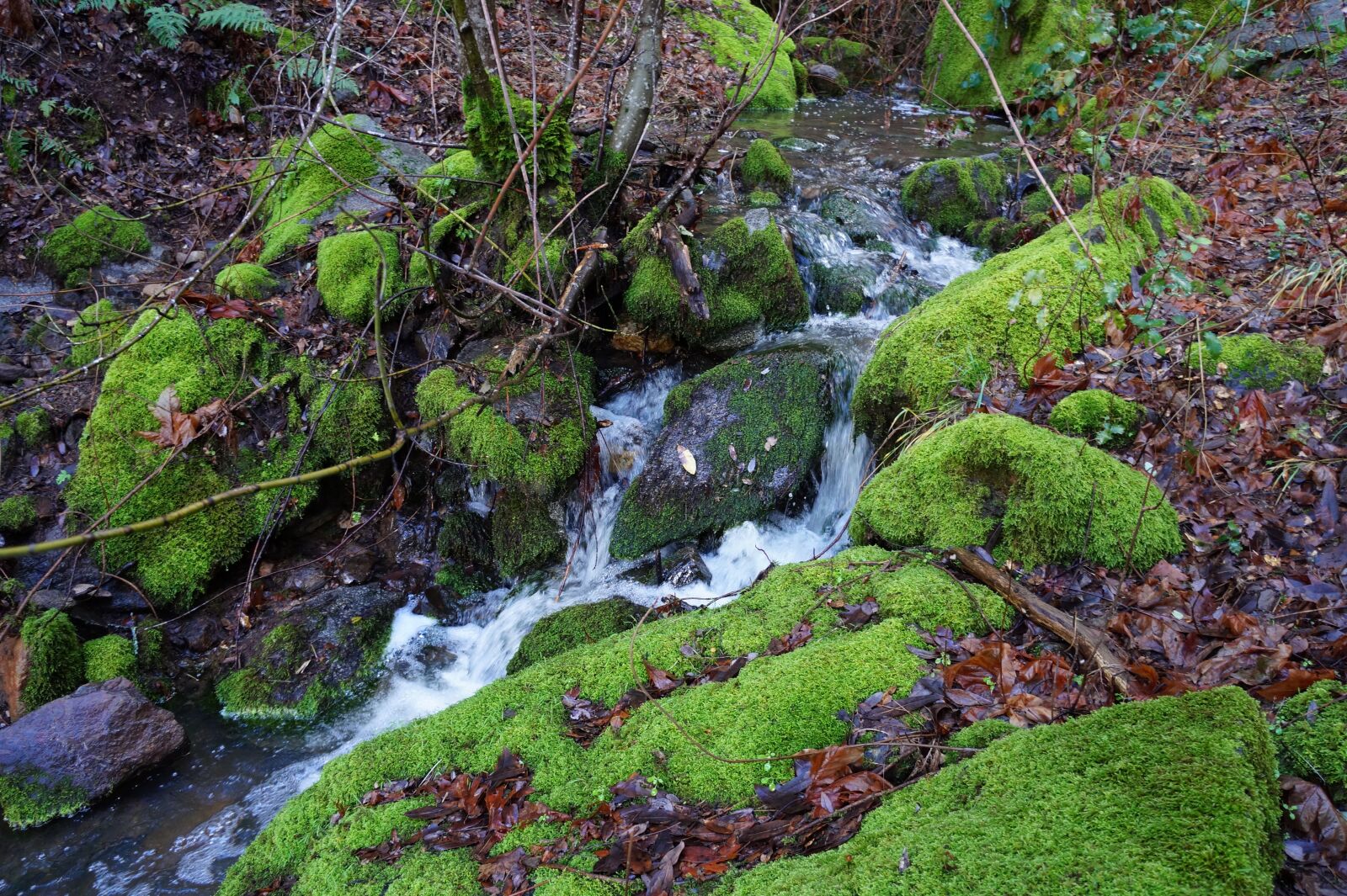 Sony Alpha a3000 sample photo. Waterfall, mountain, forest photography