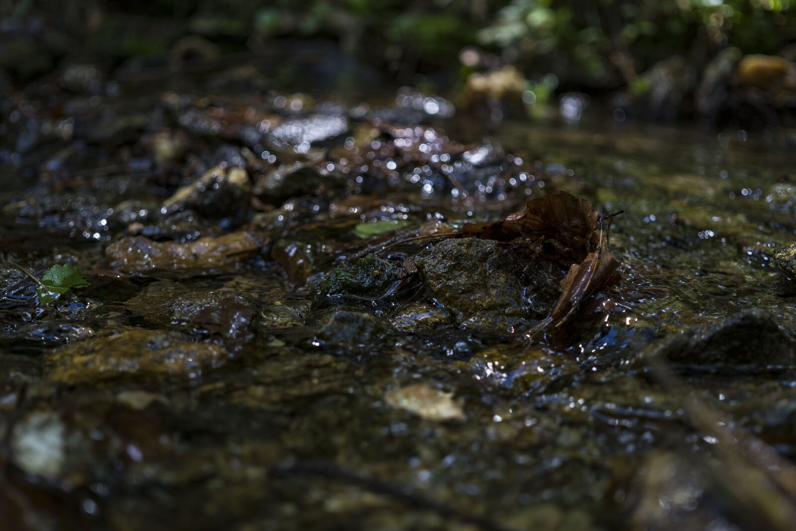 Sony a6300 + Sigma 30mm F2.8 EX DN sample photo. River, water, nature photography