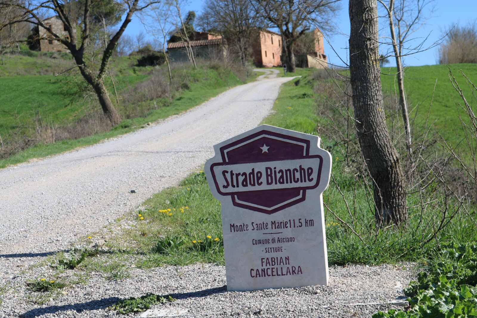 Canon EOS 750D (EOS Rebel T6i / EOS Kiss X8i) sample photo. Strade bianchi, fabian cancellara photography