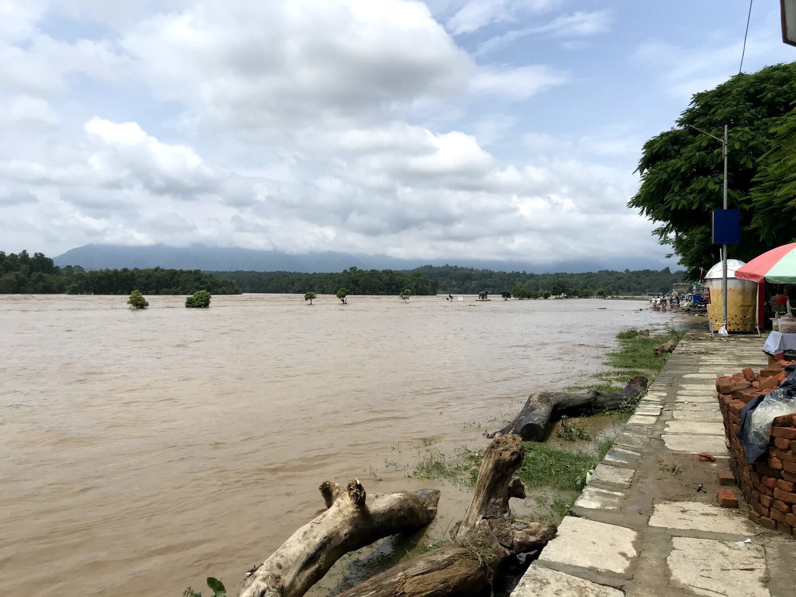 iPhone 7 back camera 3.99mm f/1.8 sample photo. Flood, narayani, water photography