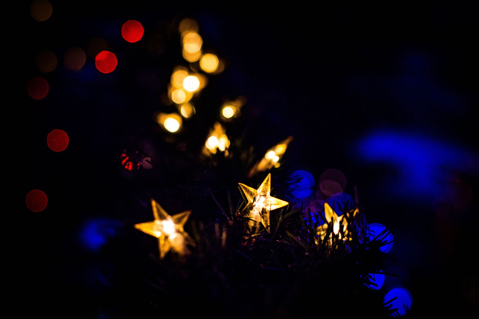 Nikon D7200 sample photo. Christmas, the ceremony, alive photography