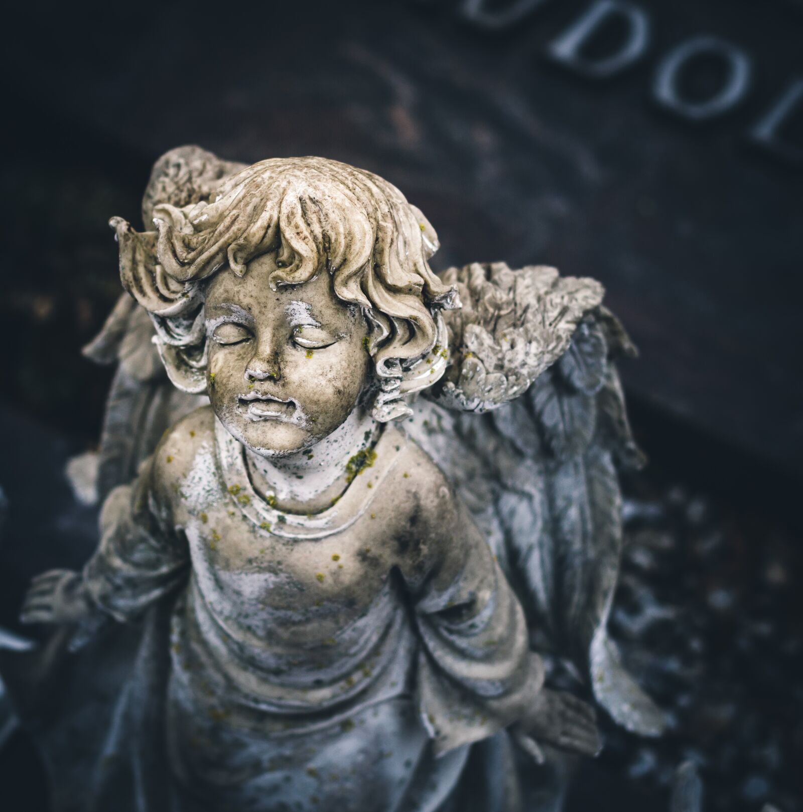 Canon EOS 7D + Canon EF 50mm F1.8 II sample photo. Angel, grave, hope photography