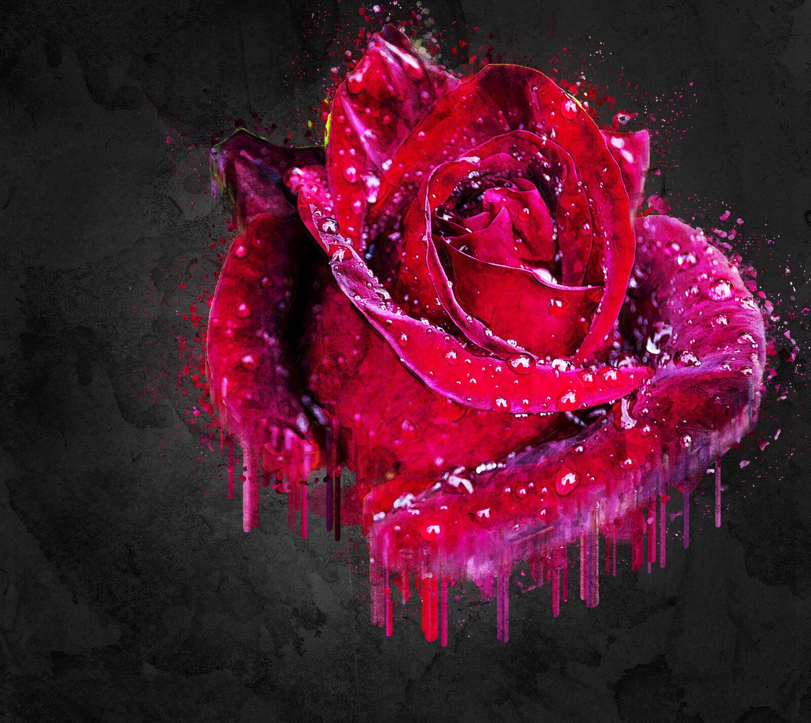 Nikon D3100 sample photo. Red, rose, flower photography