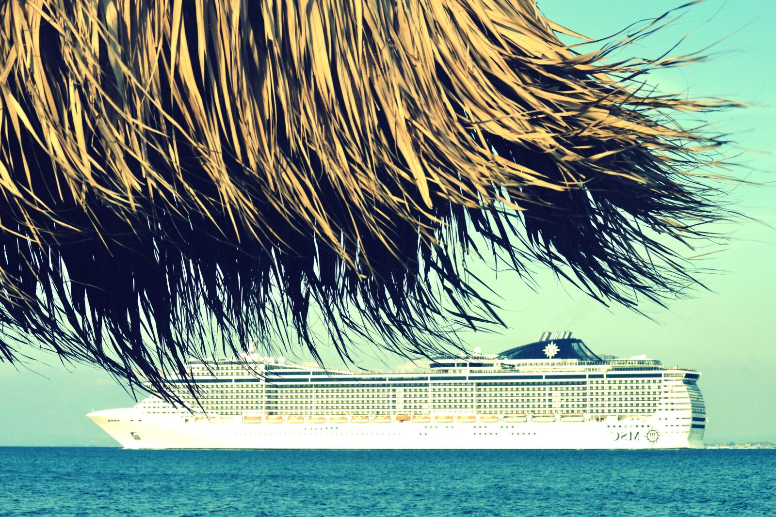 Nikon D3100 sample photo. Ship, leaves, exotic, island photography