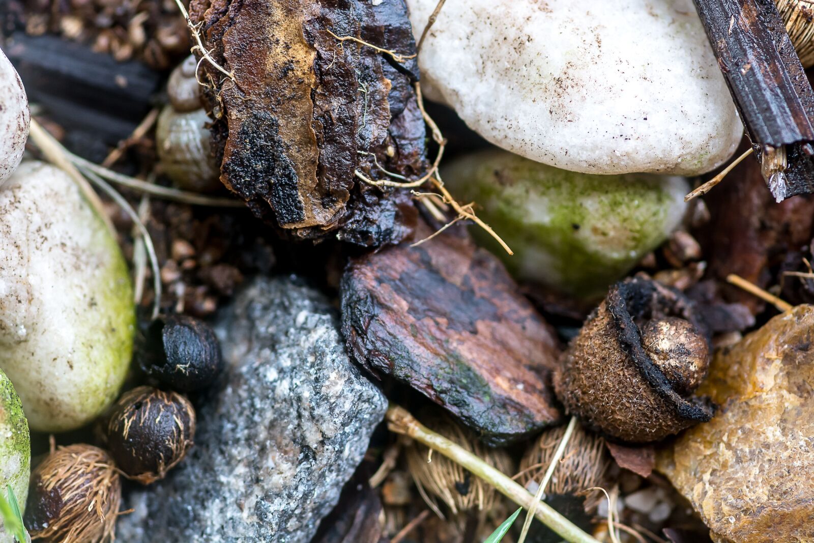 Nikon D7100 sample photo. Stones, nature, outdoor photography