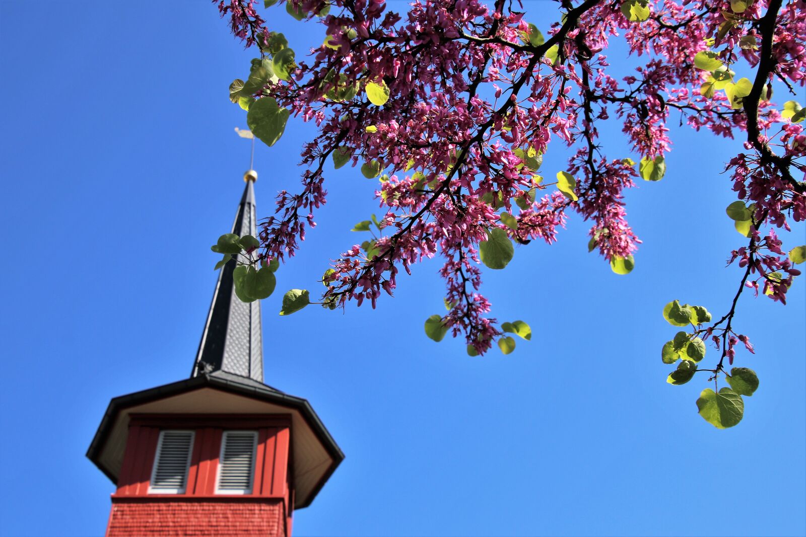 Canon EOS 80D sample photo. Spring, tower, sky photography