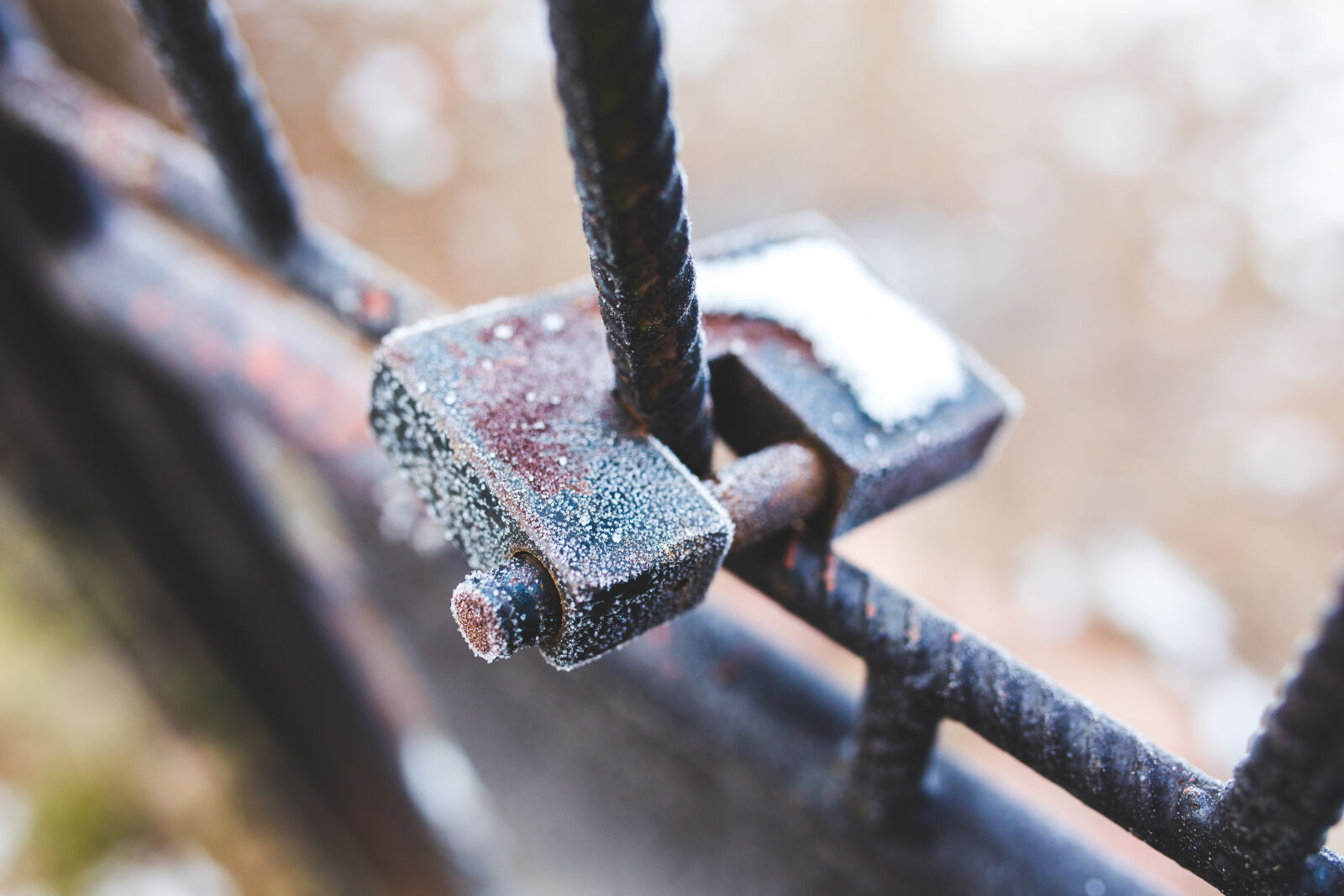 Sigma 35mm F1.4 DG HSM Art sample photo. Rusty, padlock, covered, with photography