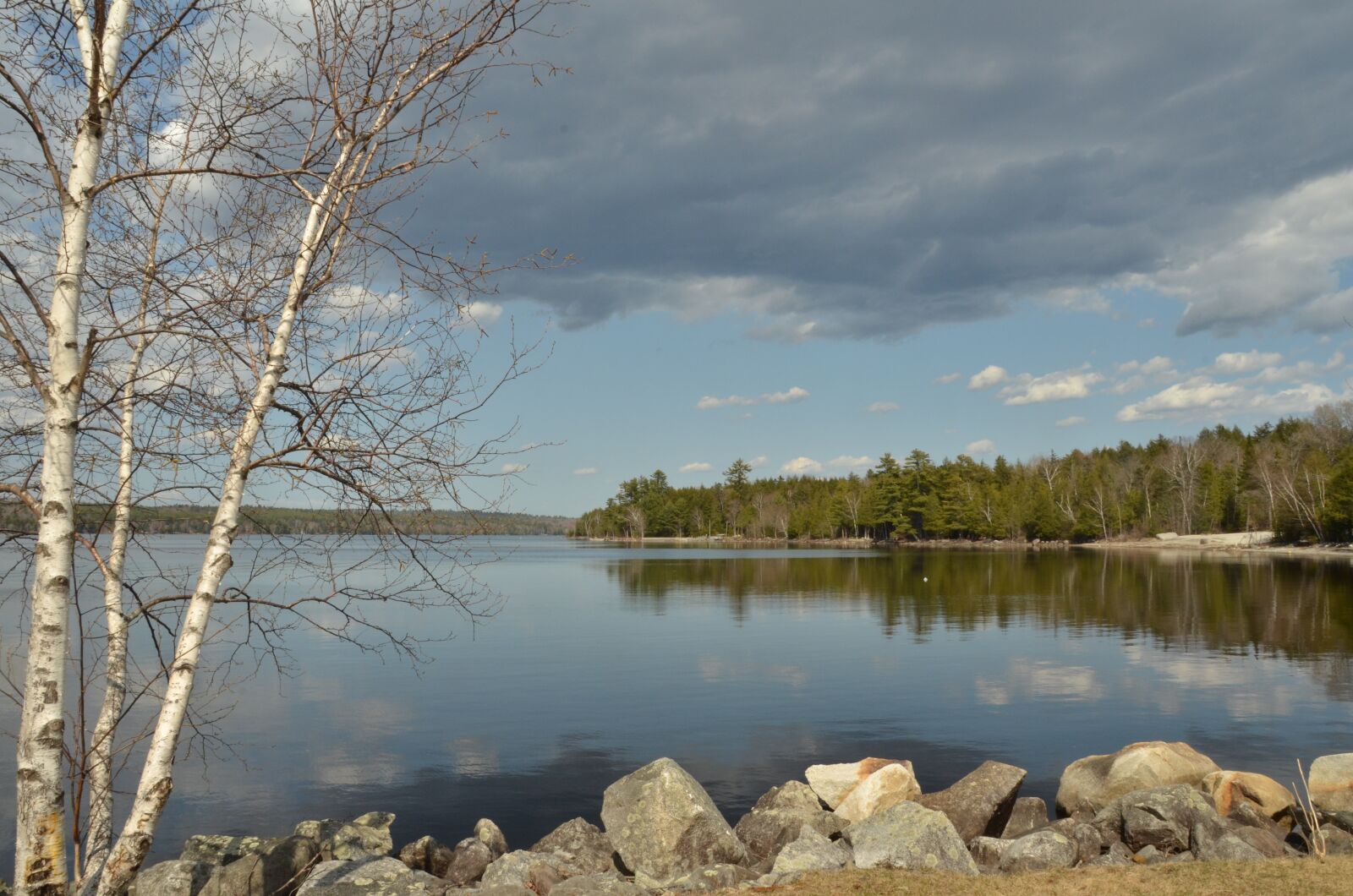 Nikon D7000 sample photo. More, forest, rock photography
