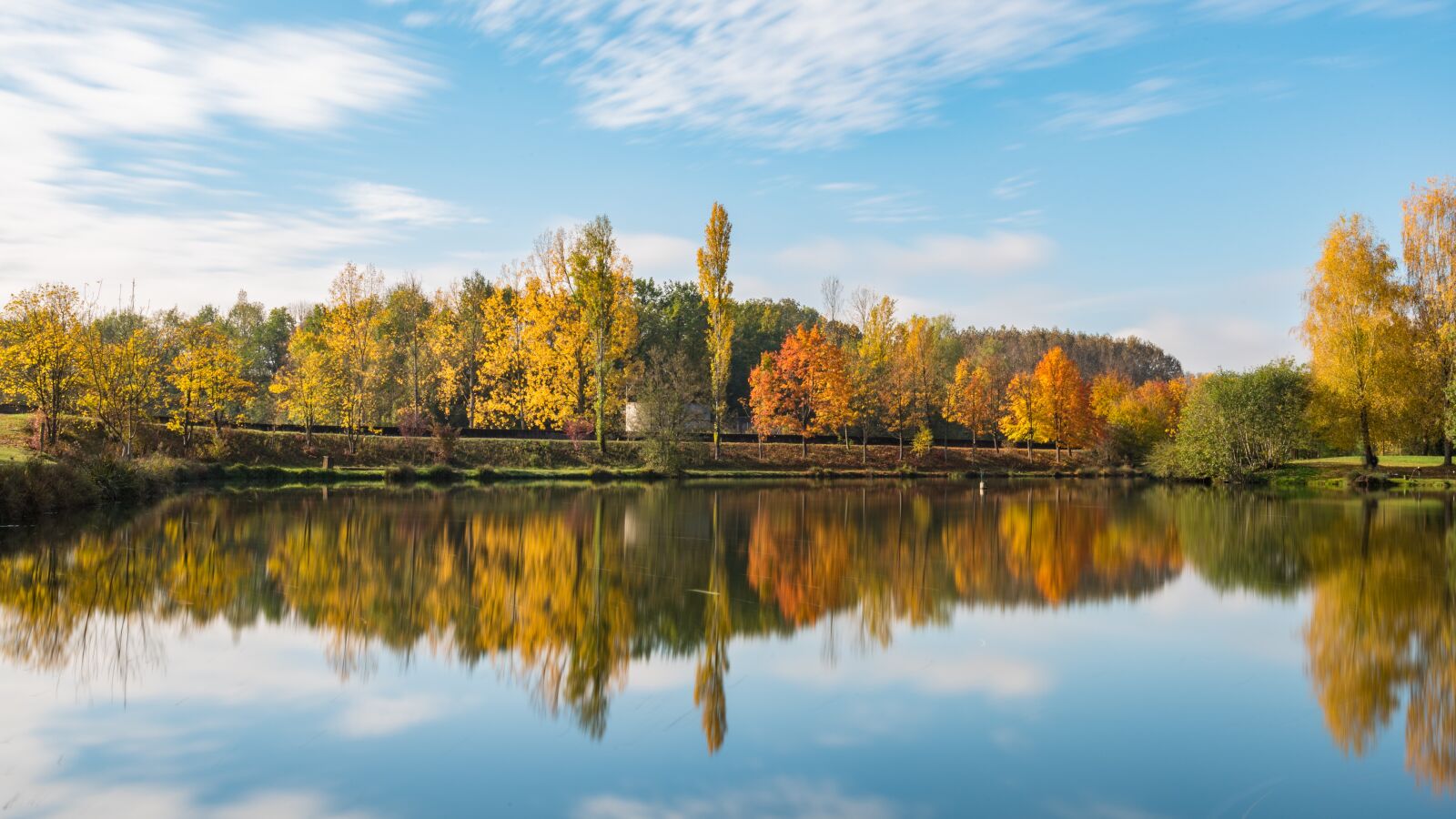 Nikon D750 sample photo. Autumn, color of automn photography