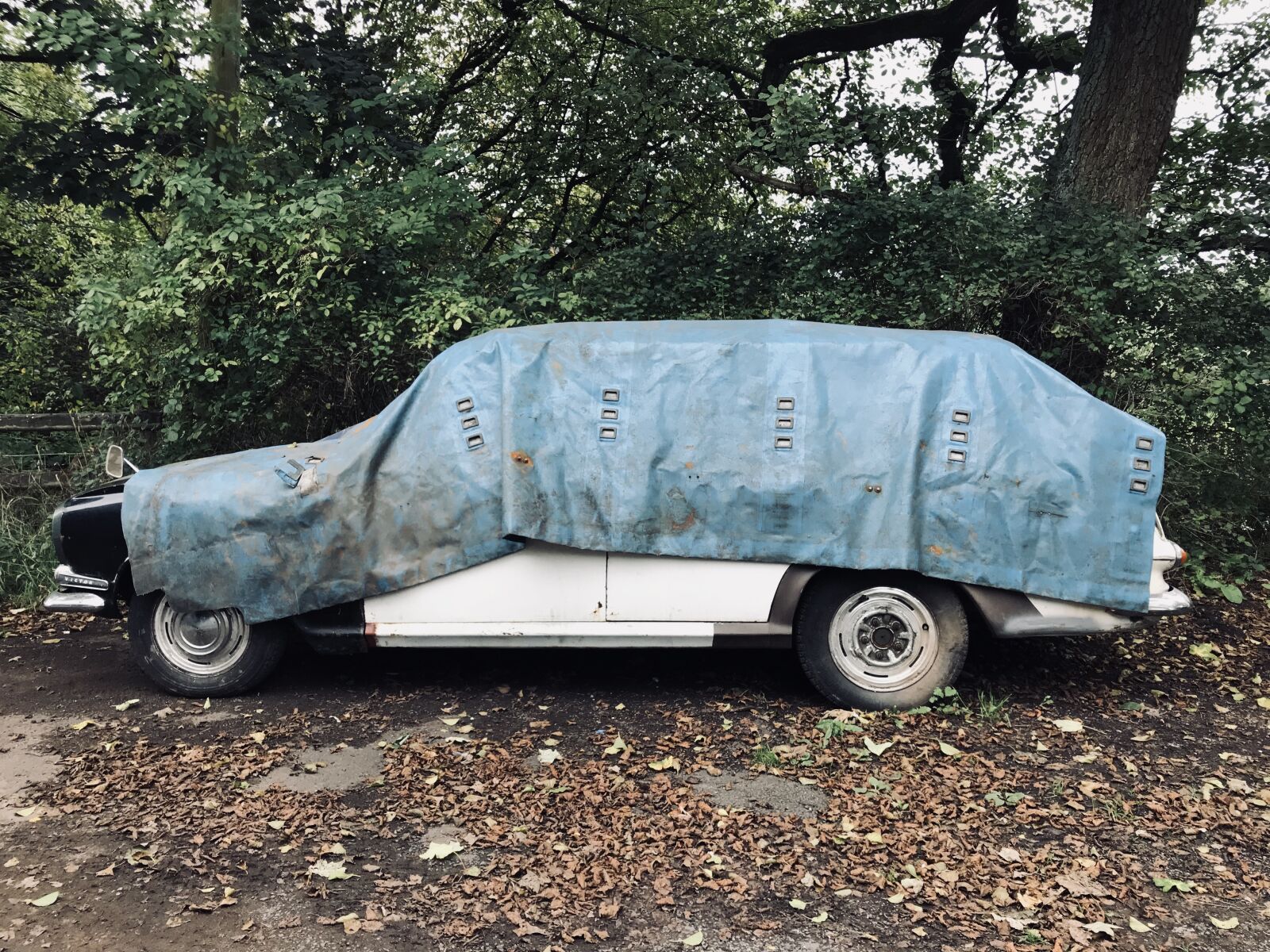 iPhone 7 back camera 3.99mm f/1.8 sample photo. Car, old, car, rusty photography