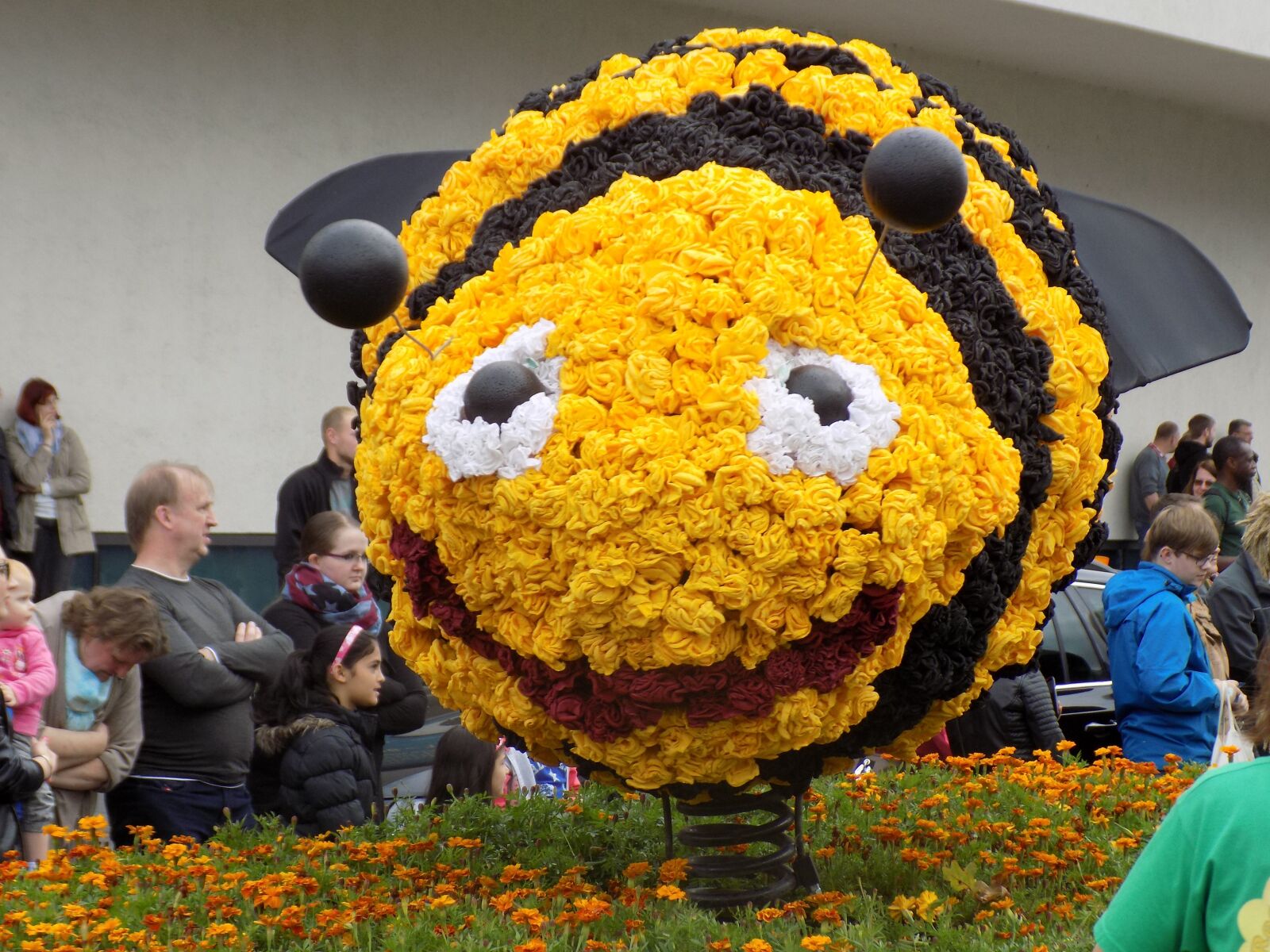 Nikon COOLPIX L340 sample photo. Bee, pageant, parade floats photography