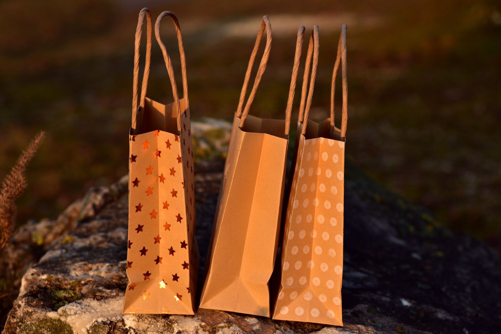 Nikon D750 sample photo. Bag, paper bag, purchasing photography
