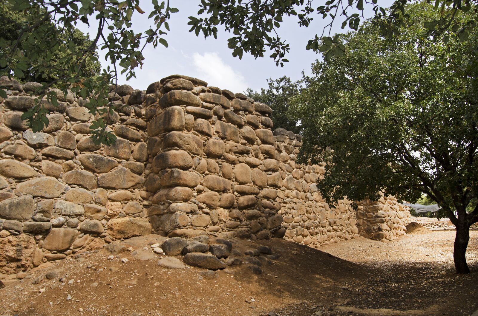 Nikon D5100 sample photo. Tel dan, israel, biblical photography