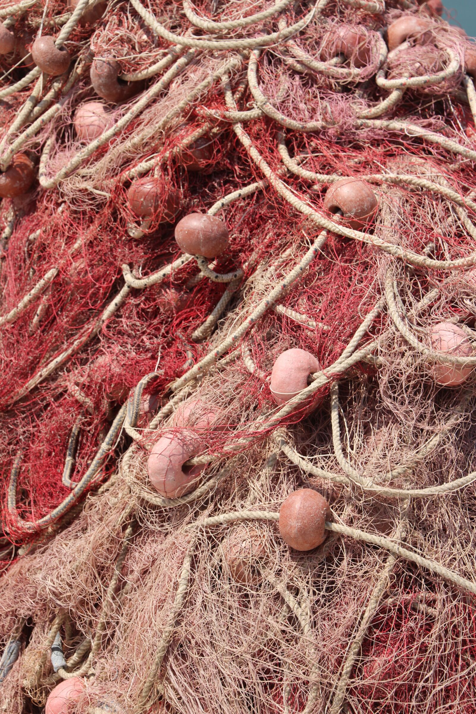 Canon EOS 650D (EOS Rebel T4i / EOS Kiss X6i) sample photo. Fishing net, web, fishing photography