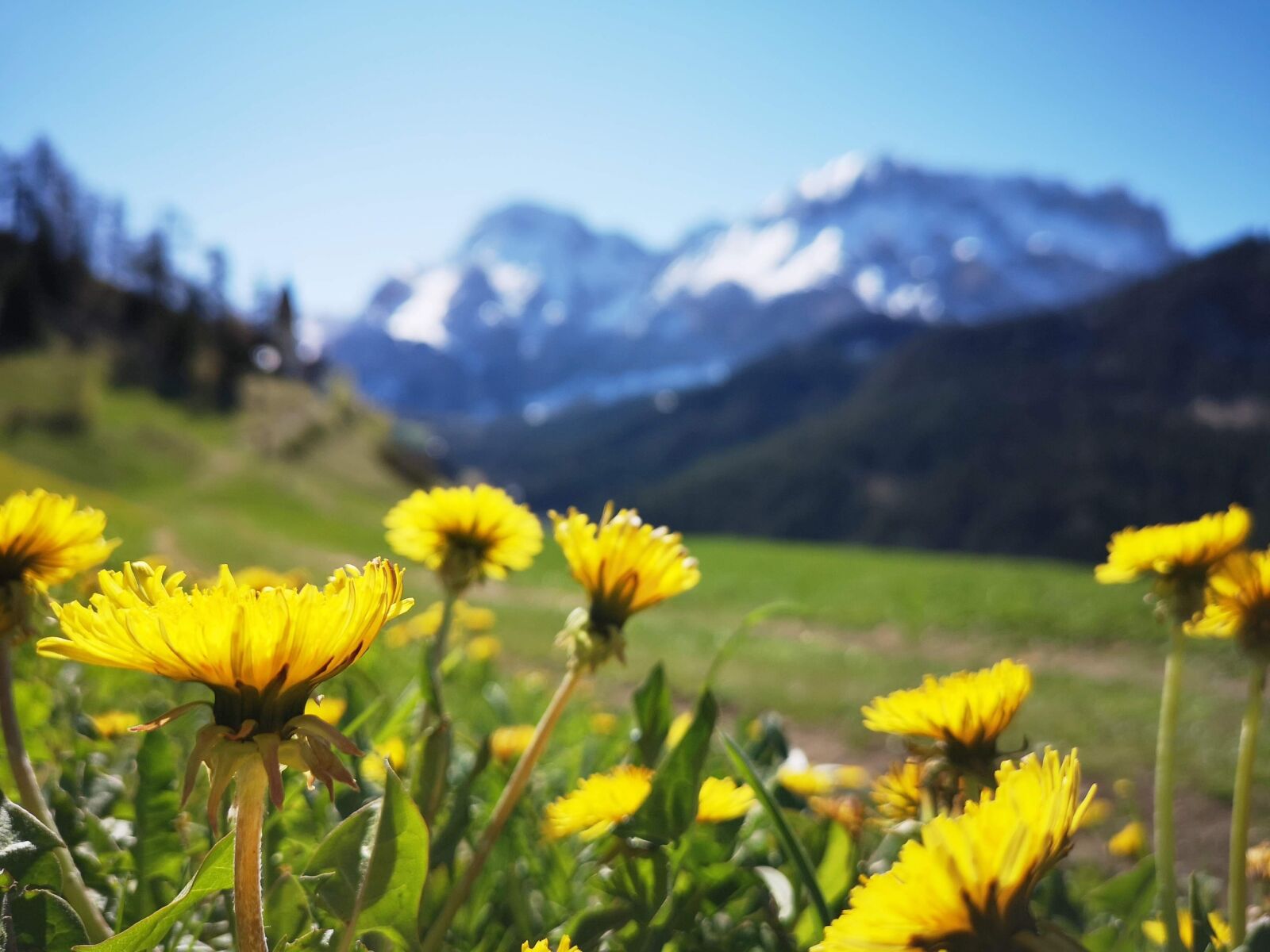 HUAWEI CLT-L09 sample photo. Mountain, alps, dolomites photography