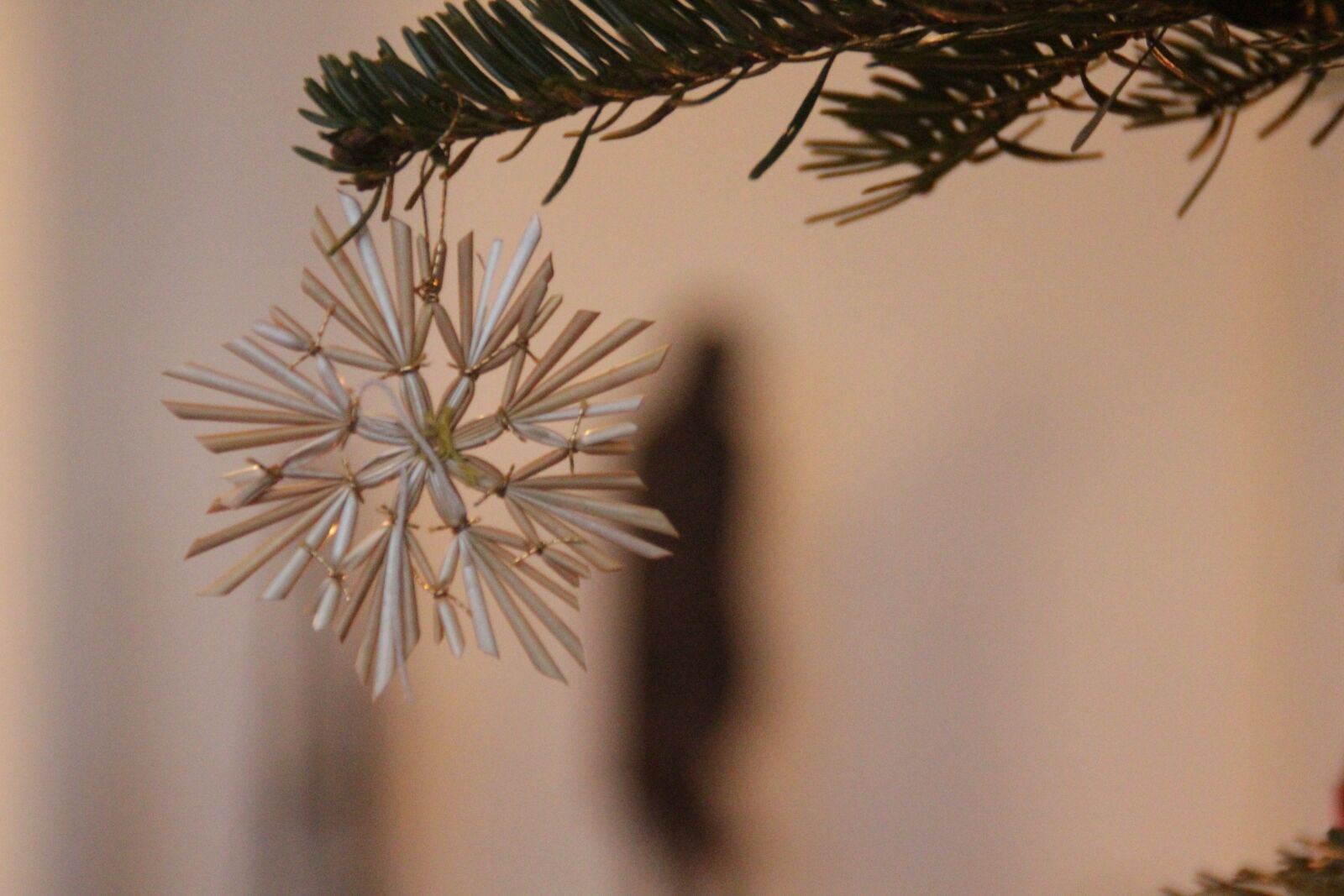 Canon EOS 550D (EOS Rebel T2i / EOS Kiss X4) sample photo. Star, advent, christmas photography