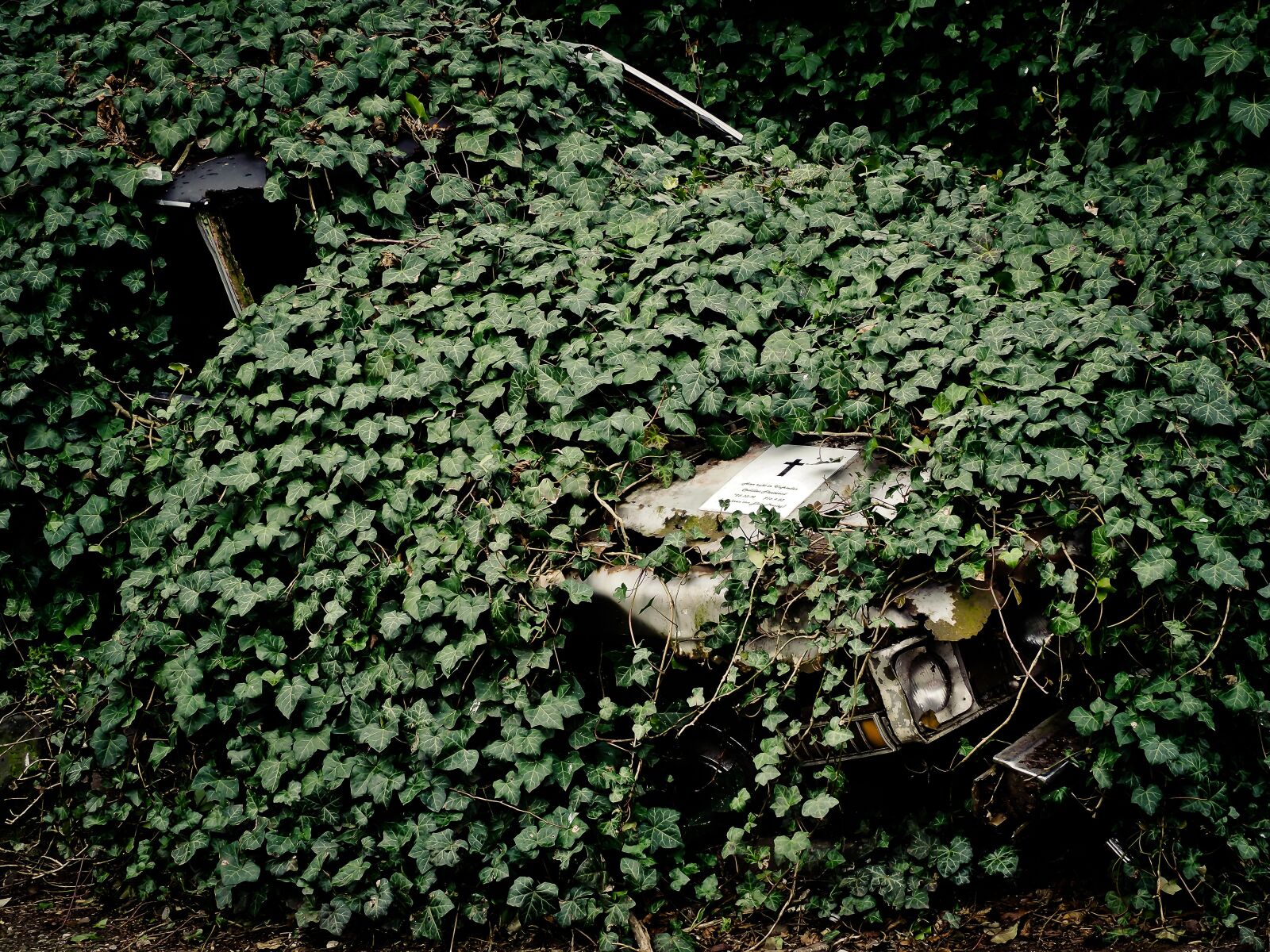 Olympus OM-D E-M10 sample photo. Auto, wreck, scrap photography