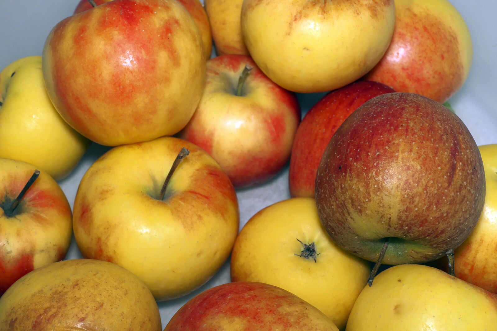 Panasonic Lumix DMC-FZ1000 sample photo. Apple, fruit, pome fruit photography