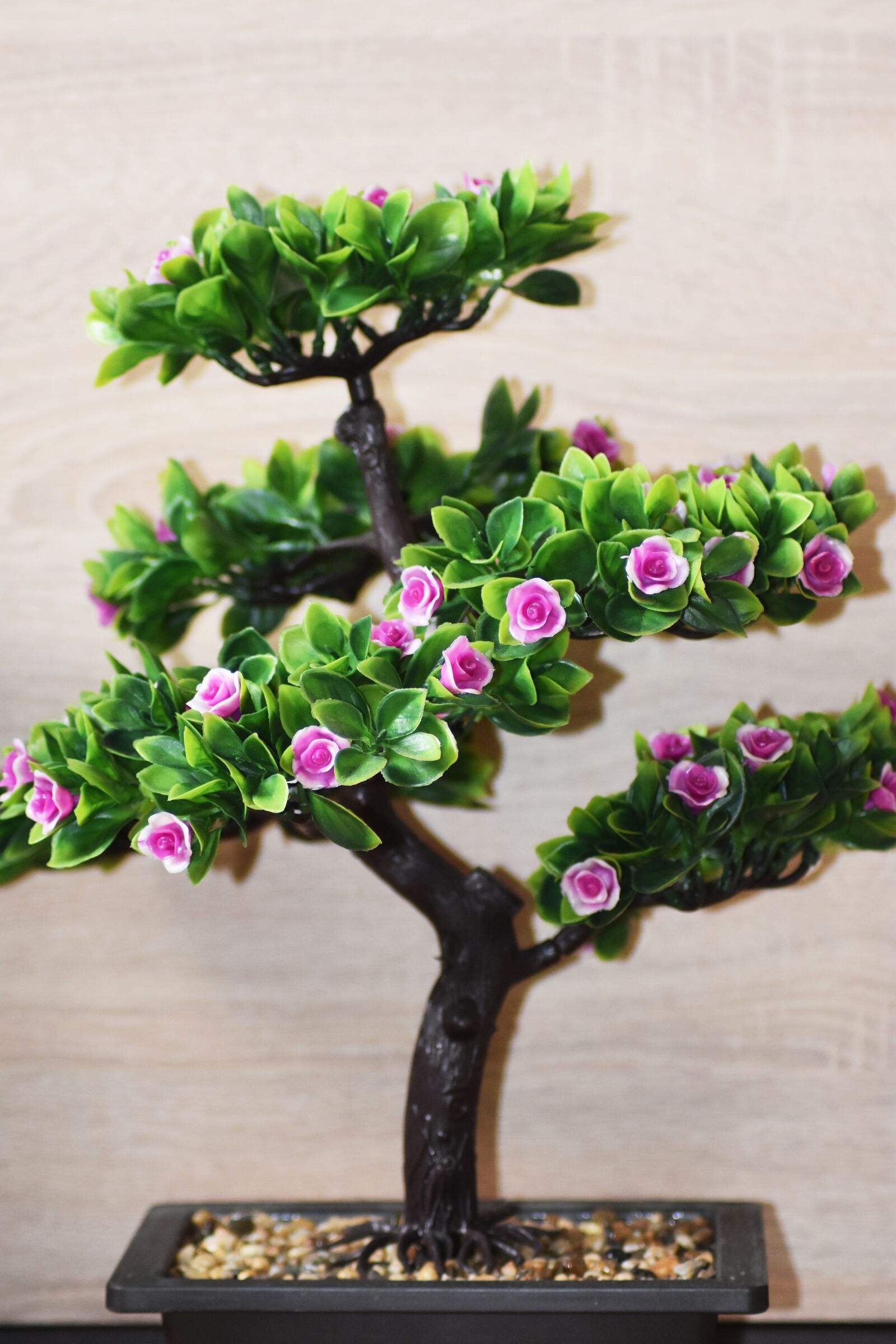 Nikon D3400 sample photo. Wood, bonsai, leaves photography