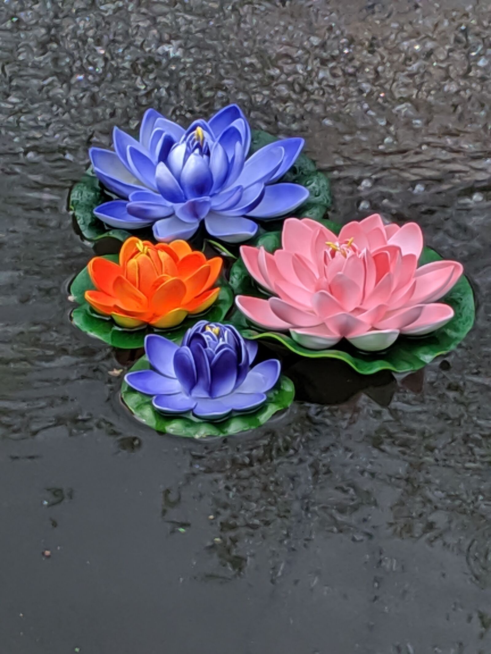 Google Pixel 3 XL sample photo. Flowers, flowers in pond photography