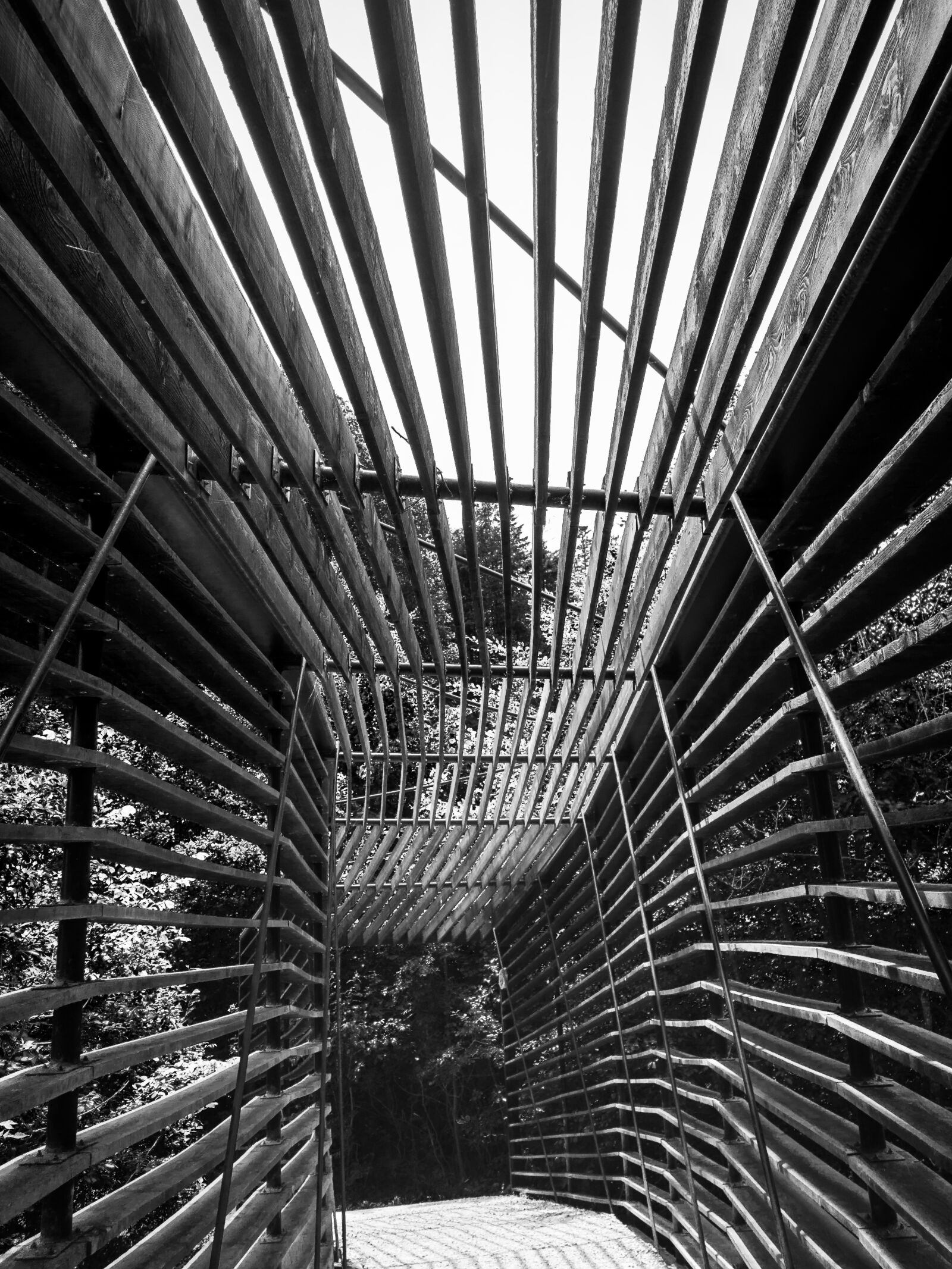 Sony Cyber-shot DSC-RX100 II sample photo. Bridge, away, wood canyon photography