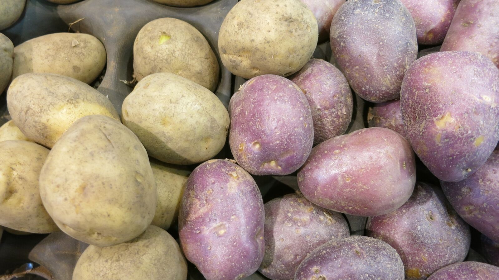 Canon PowerShot S110 sample photo. Red potatoes, russet, varieties photography
