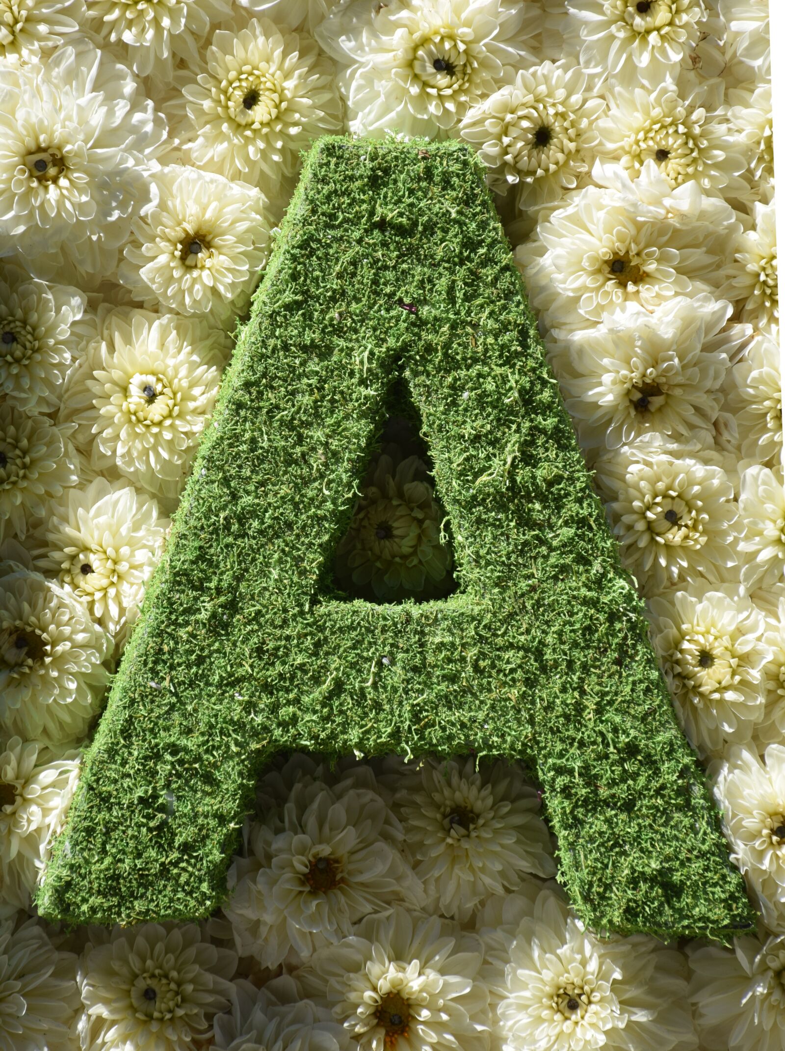 Nikon D3300 sample photo. The, the letter, letter photography