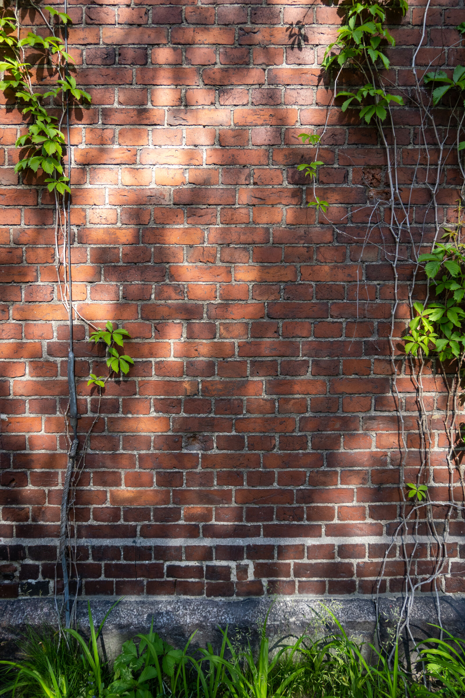 Panasonic Leica DG Summilux 9mm F1.7 ASPH sample photo. Brickwall of the sun photography