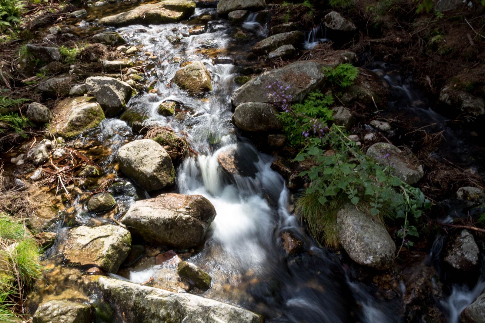 Canon EOS 1300D (EOS Rebel T6 / EOS Kiss X80) sample photo. Nature, river, waterfall photography