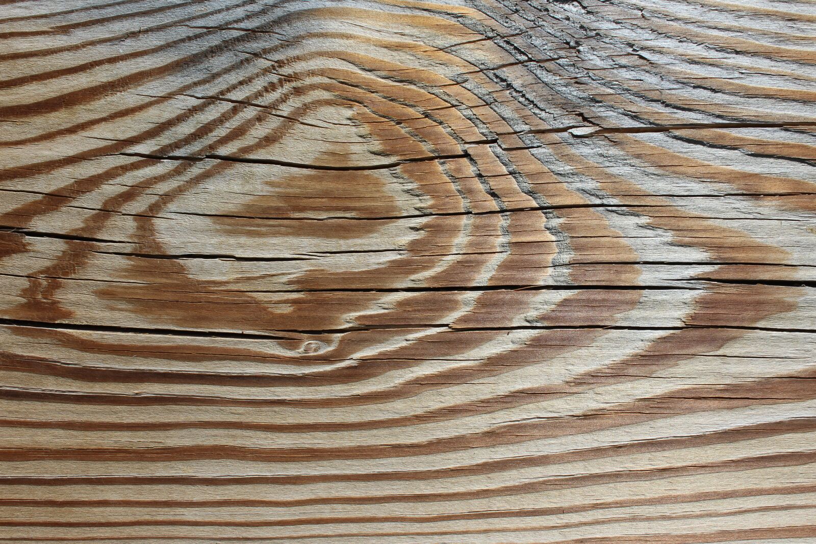 Canon EOS 1200D (EOS Rebel T5 / EOS Kiss X70 / EOS Hi) sample photo. Wood plank, surface, plank photography