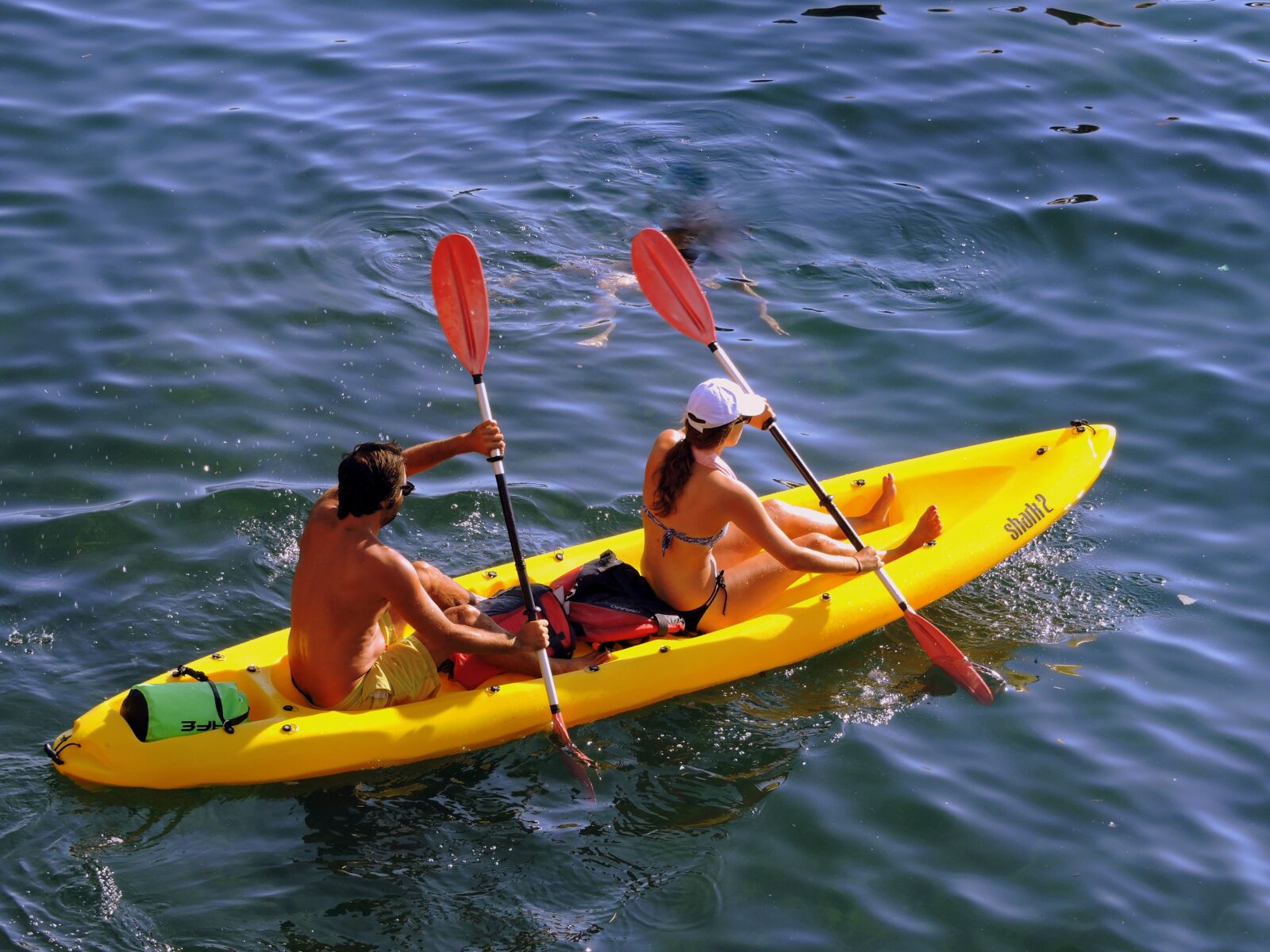 Nikon Coolpix P600 sample photo. Canoeing, couple, row photography