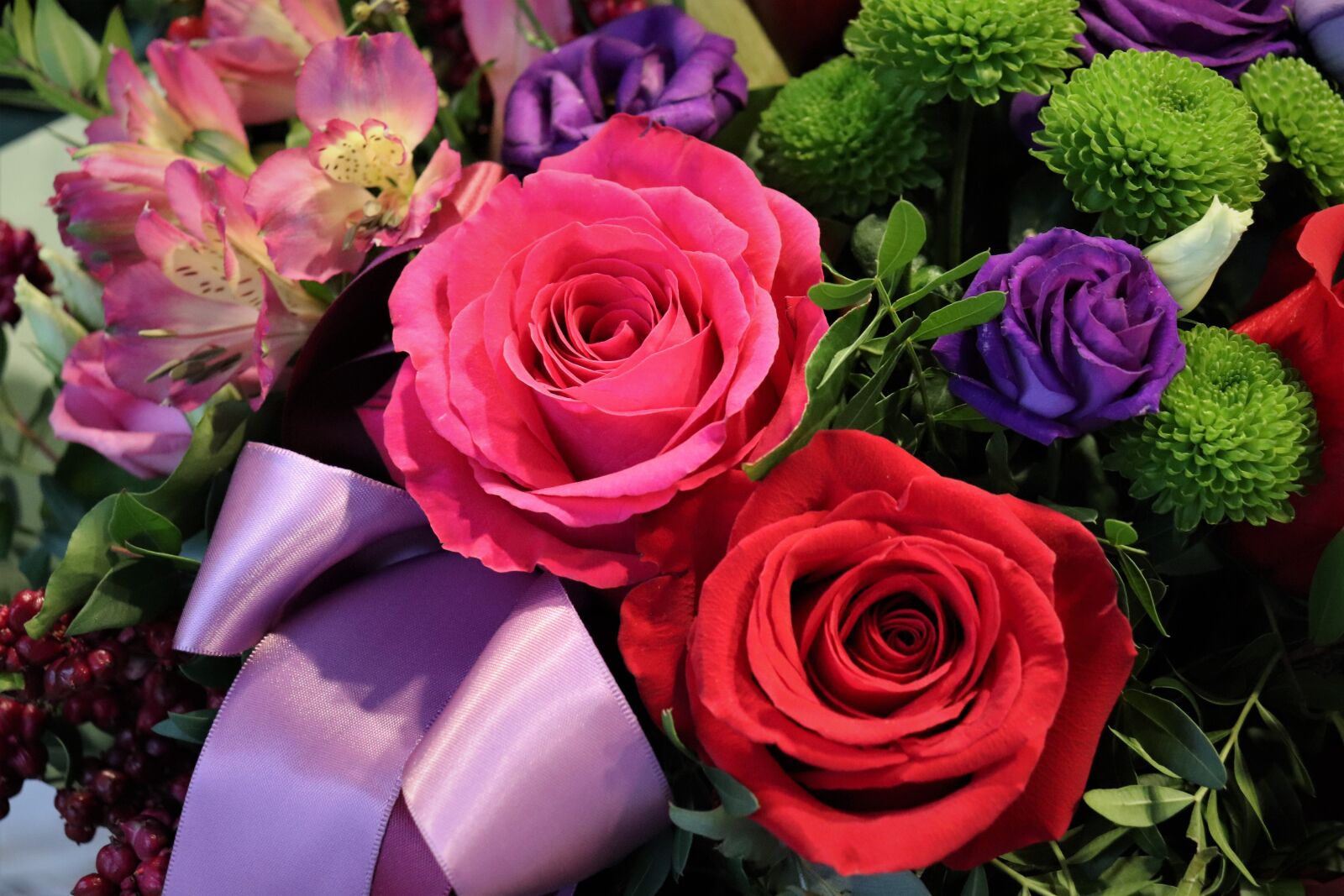 Canon EOS 200D (EOS Rebel SL2 / EOS Kiss X9) sample photo. Red roses, bow, common photography